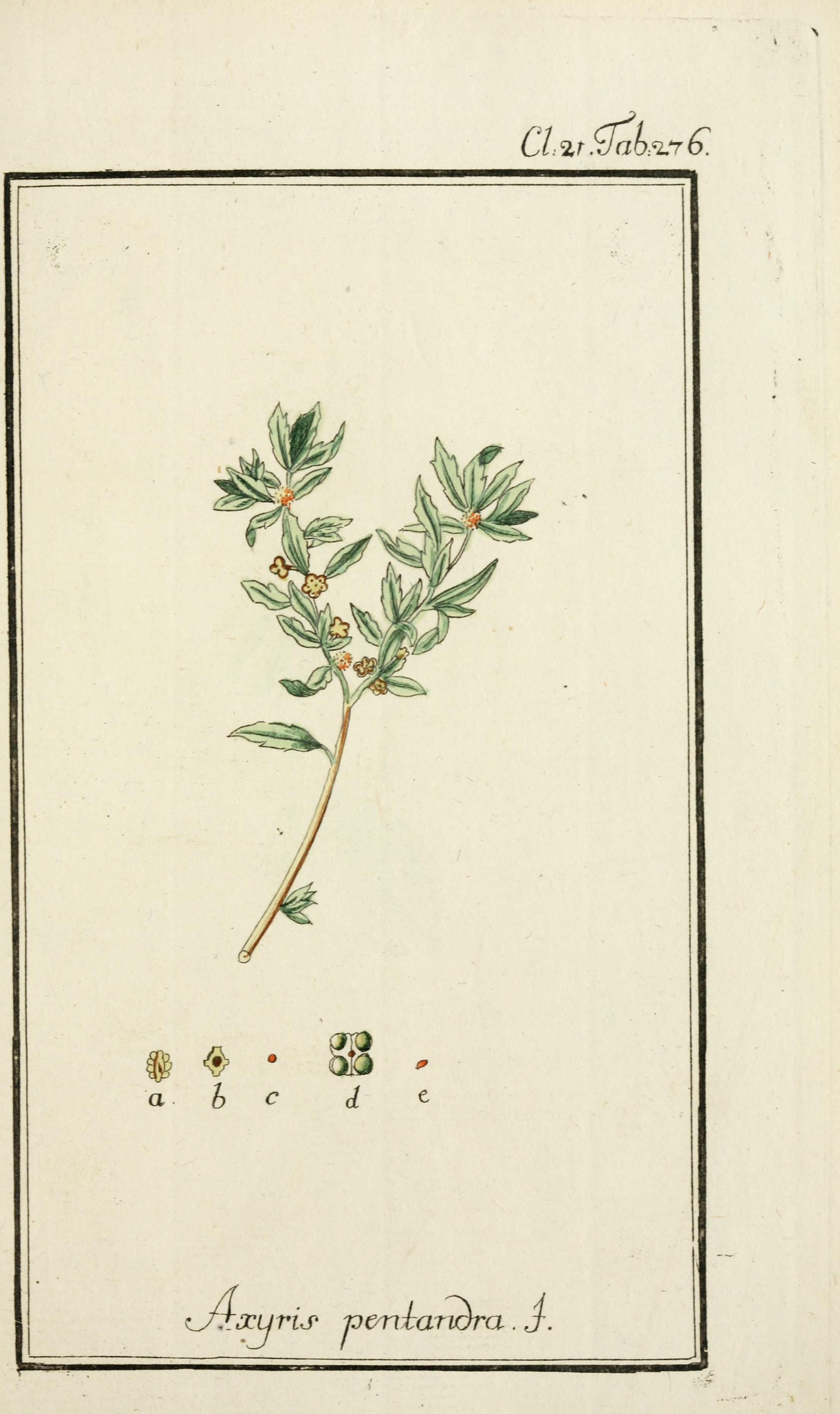 no full size  illustration available (3a)