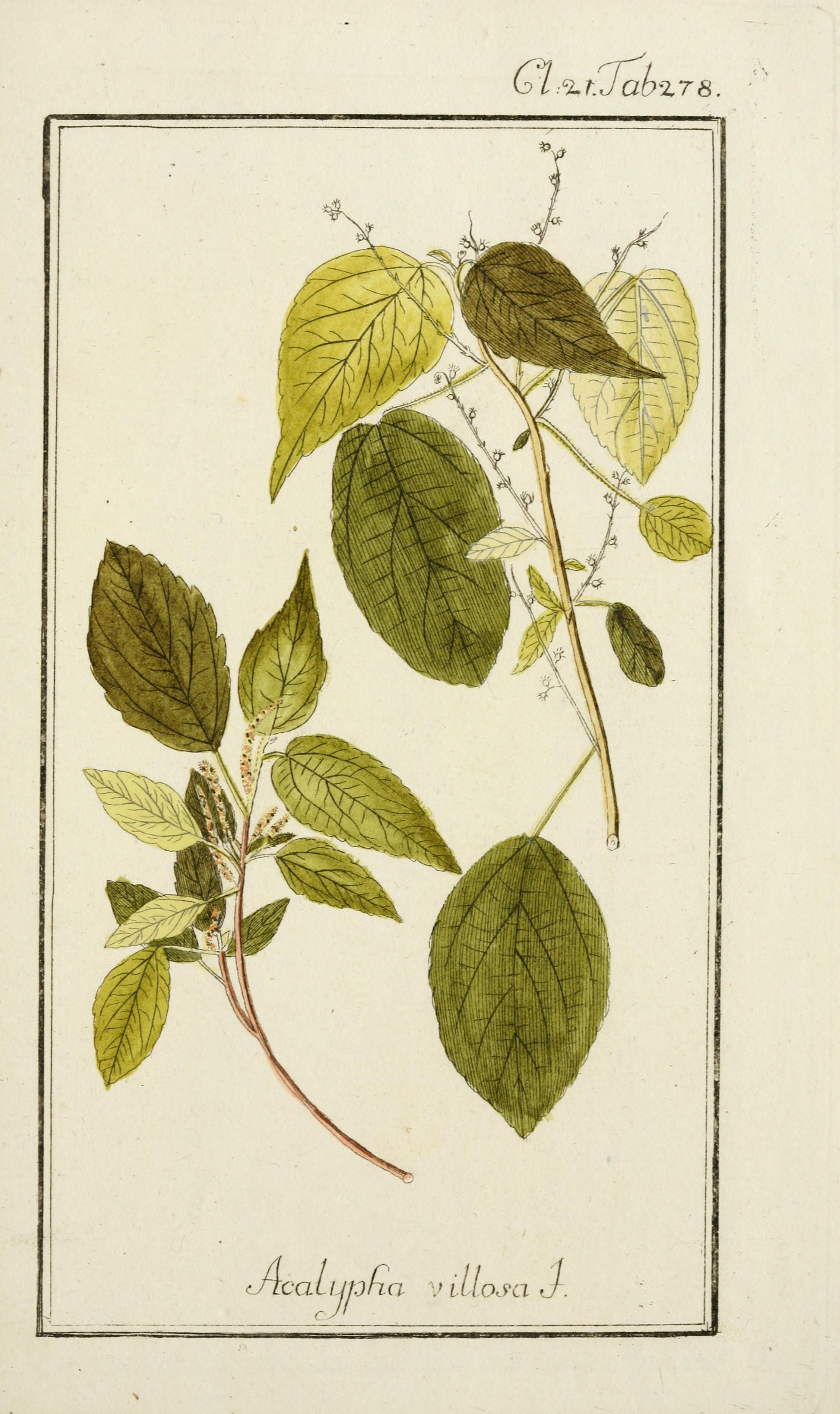 no full size  illustration available (3a)