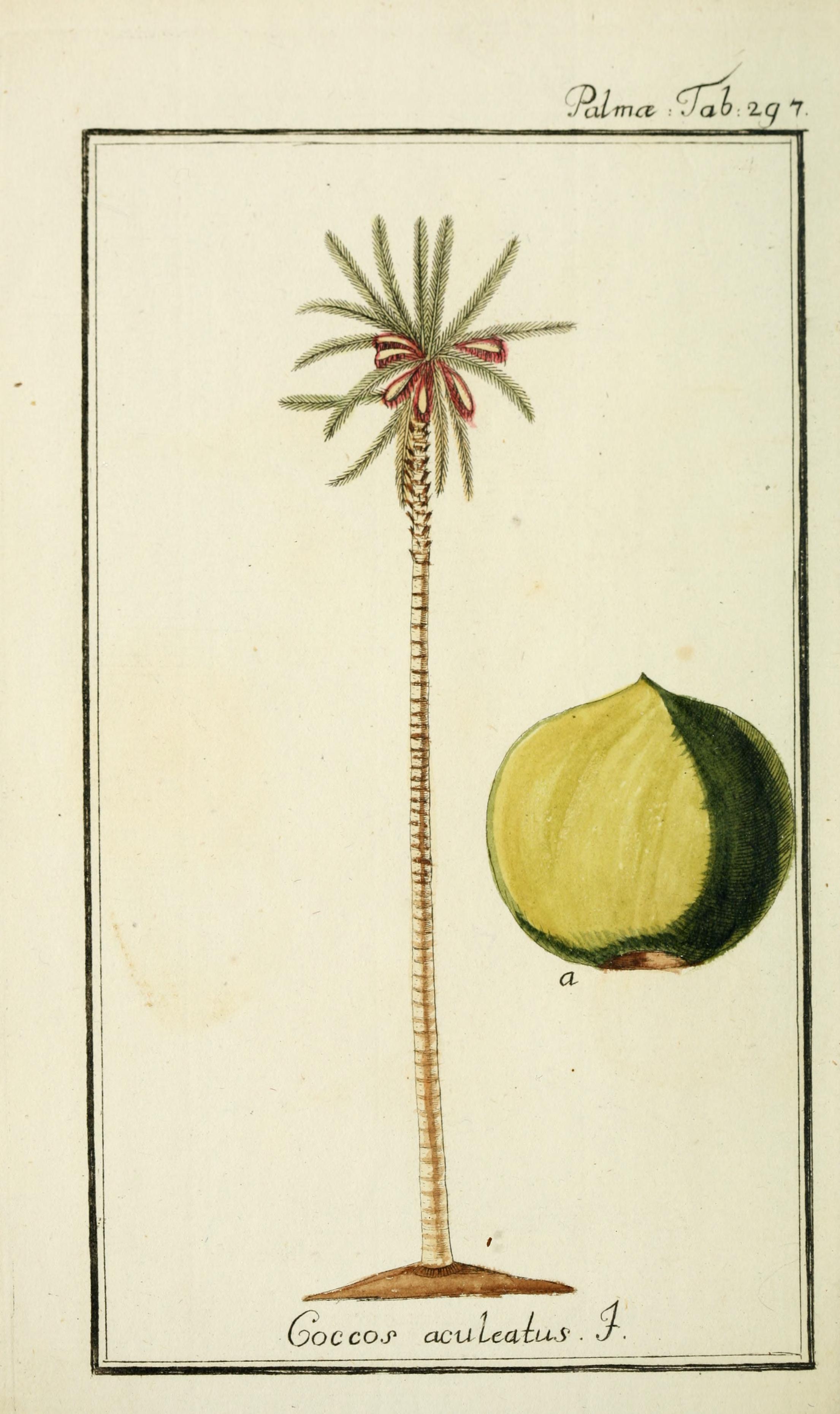 no full size  illustration available (3a)