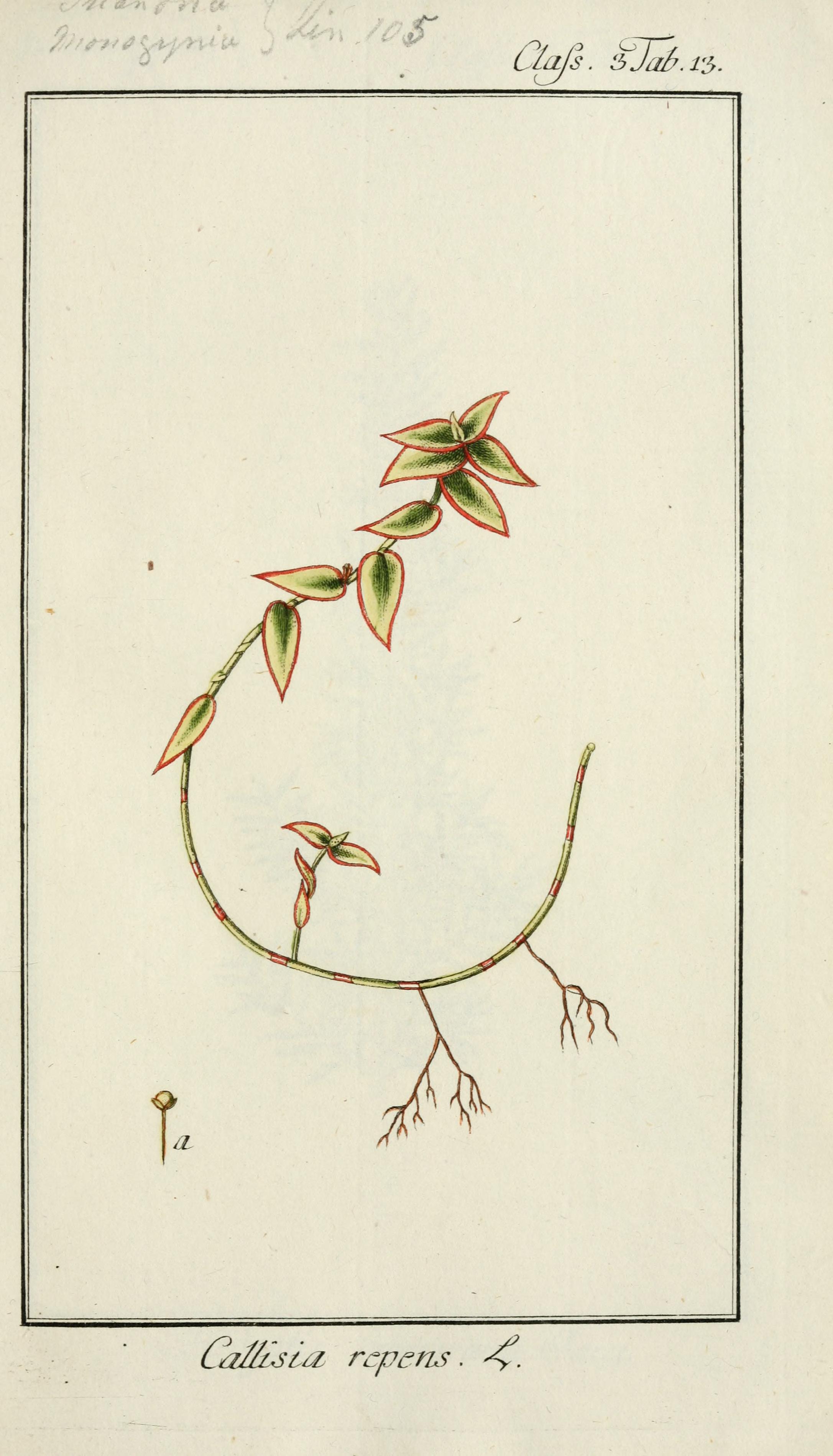 no full size  illustration available (3a)