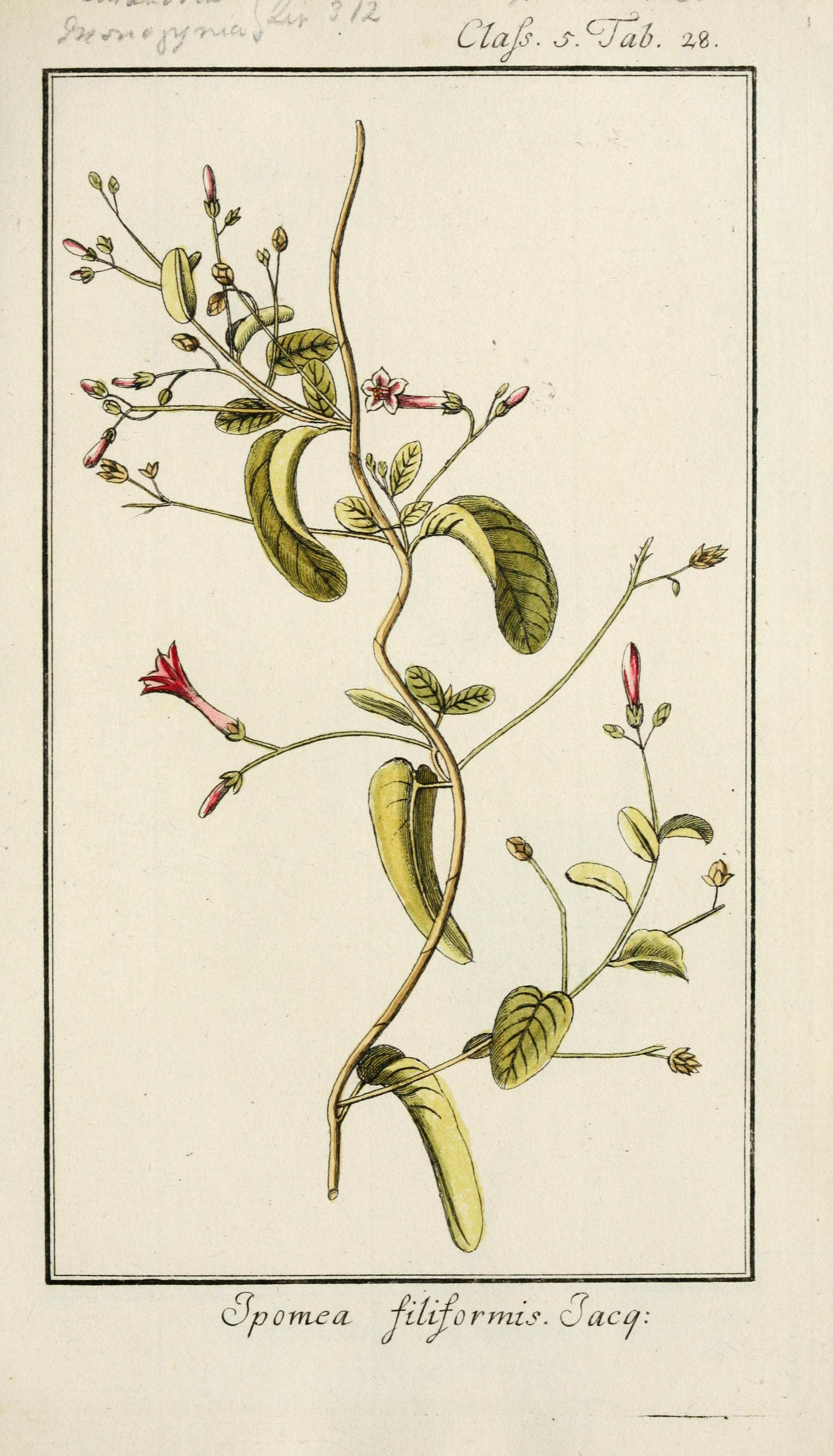 no full size  illustration available (3a)