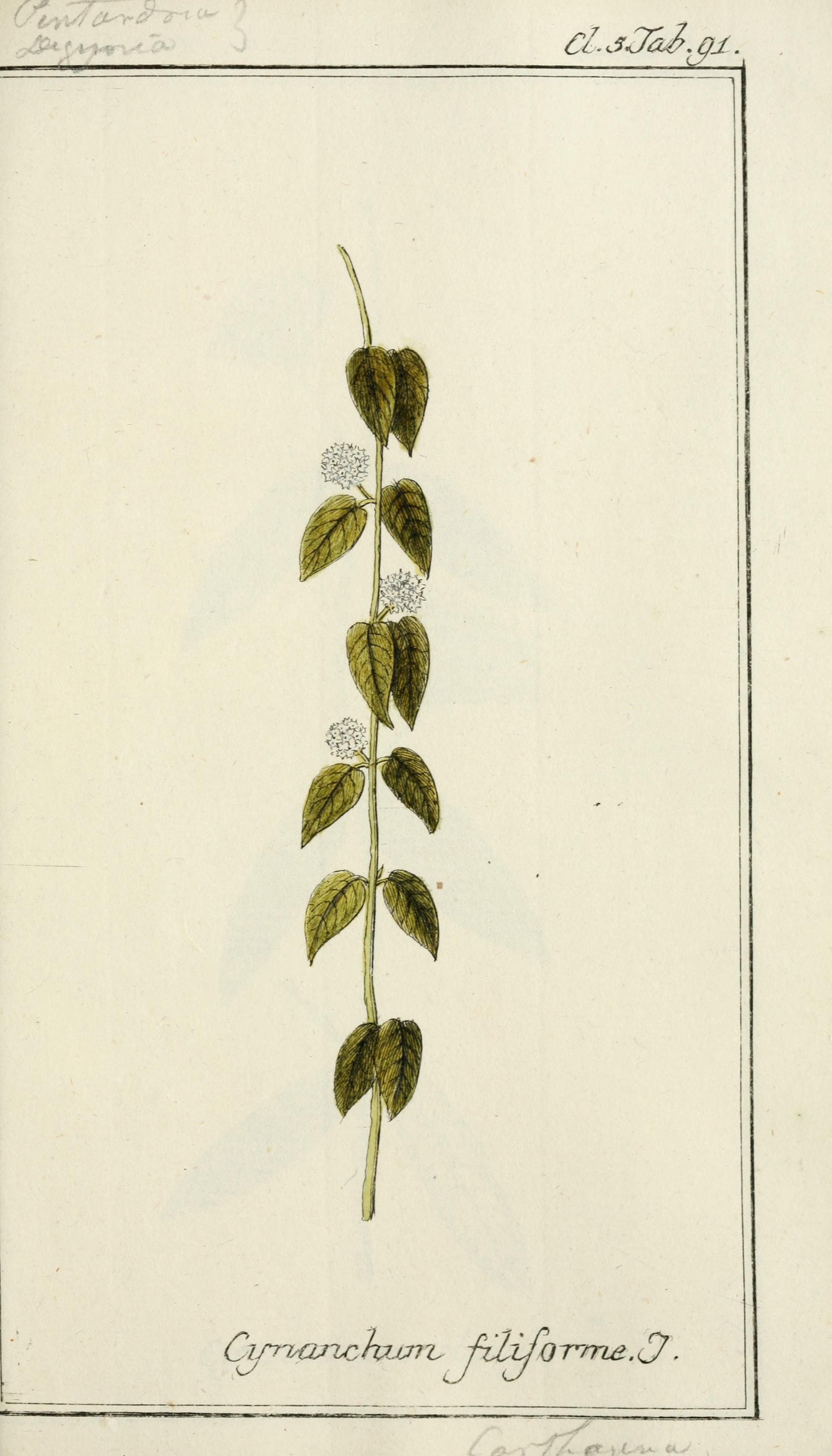 no full size  illustration available (3a)