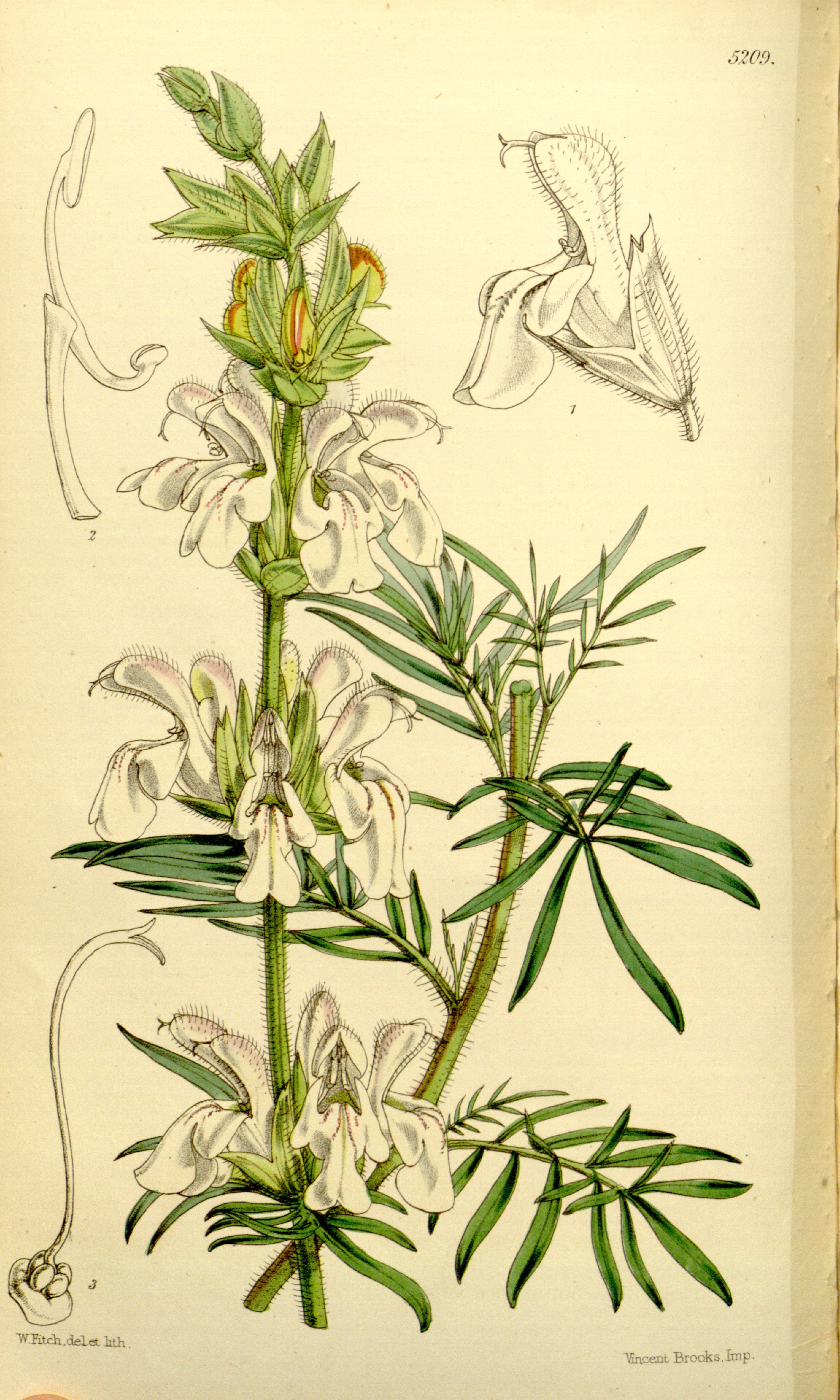 no full size  illustration available (3a)