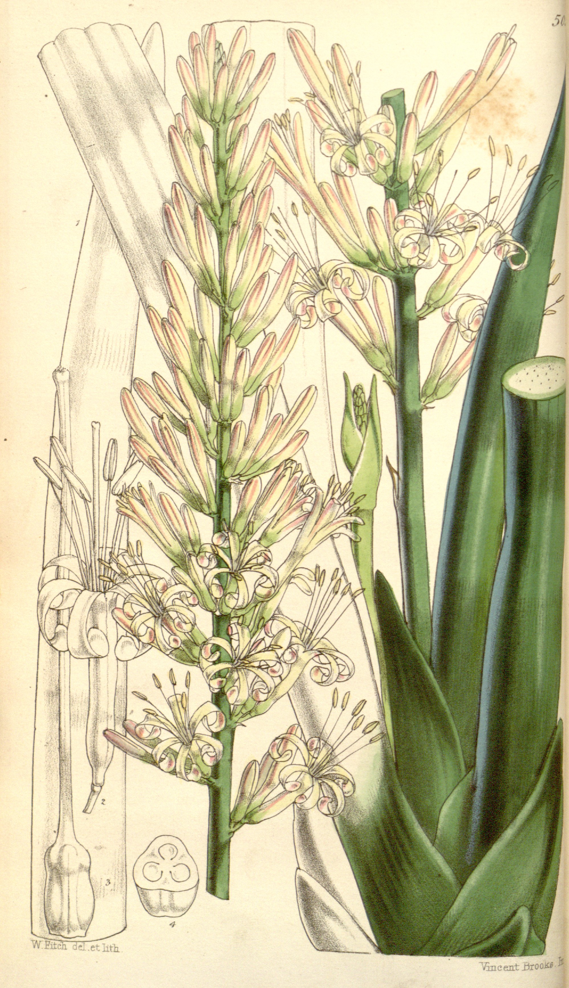 no full size  illustration available (3a)