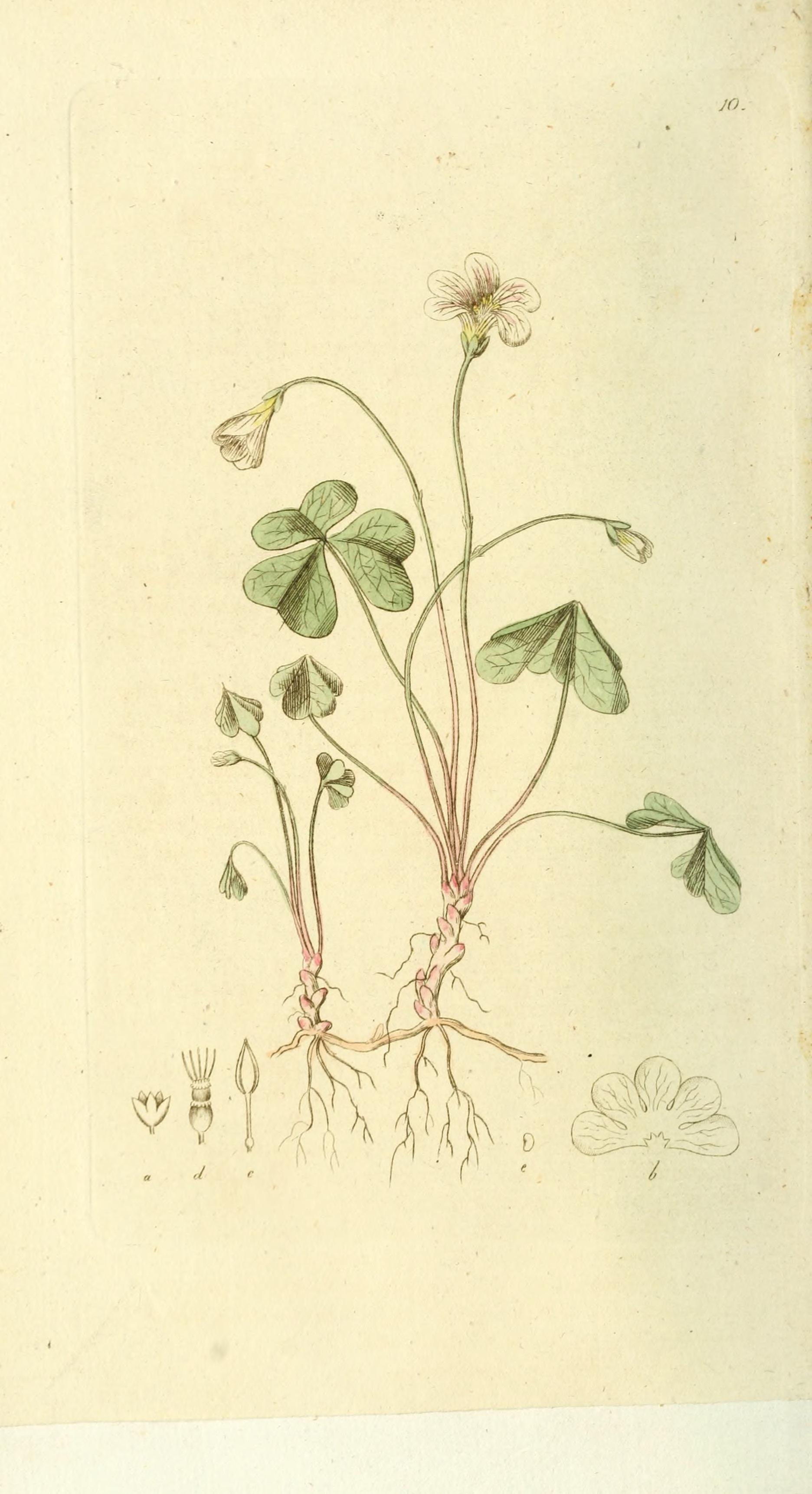 no full size  illustration available (3a)