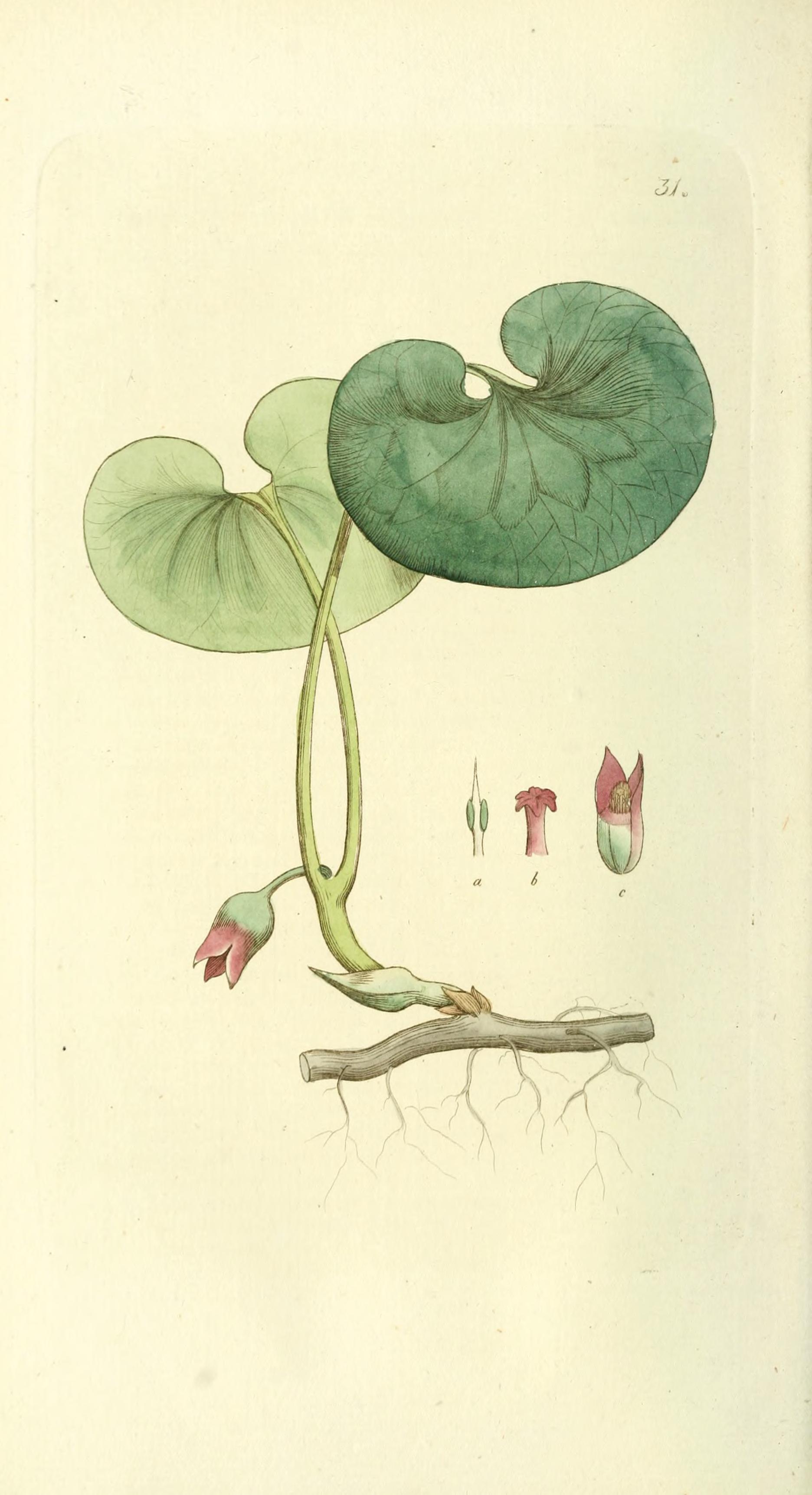 no full size  illustration available (3a)