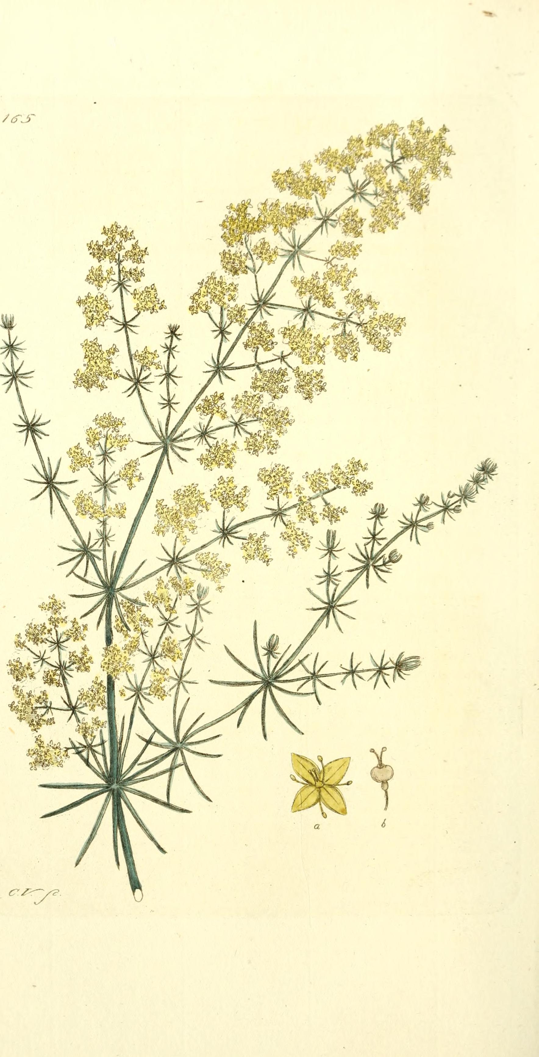 no full size  illustration available (3a)