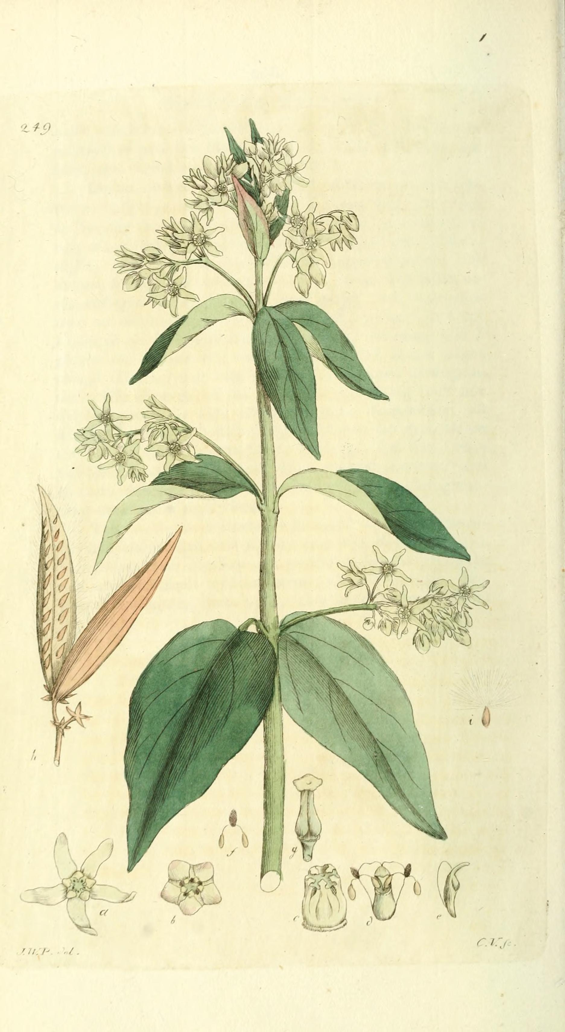 no full size  illustration available (3a)