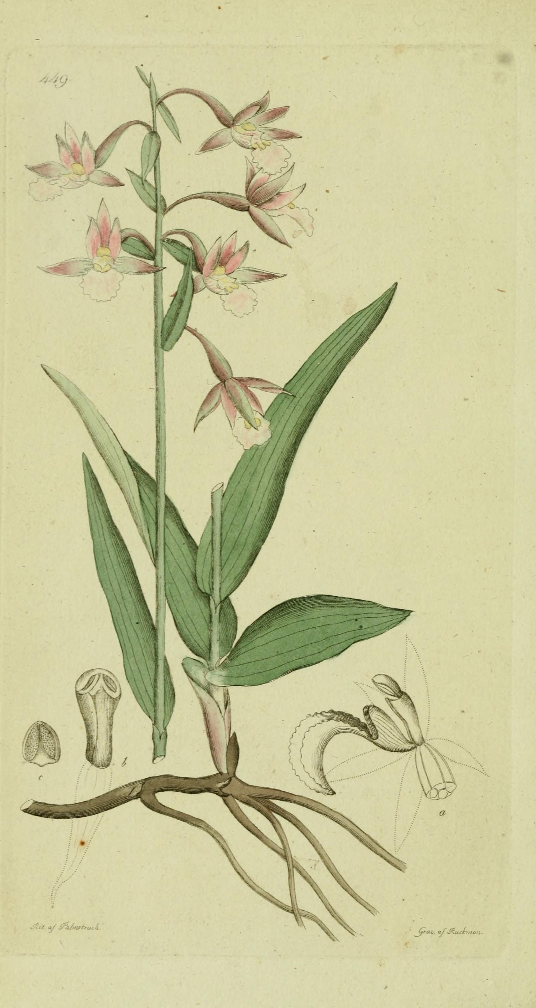 no full size  illustration available (3a)