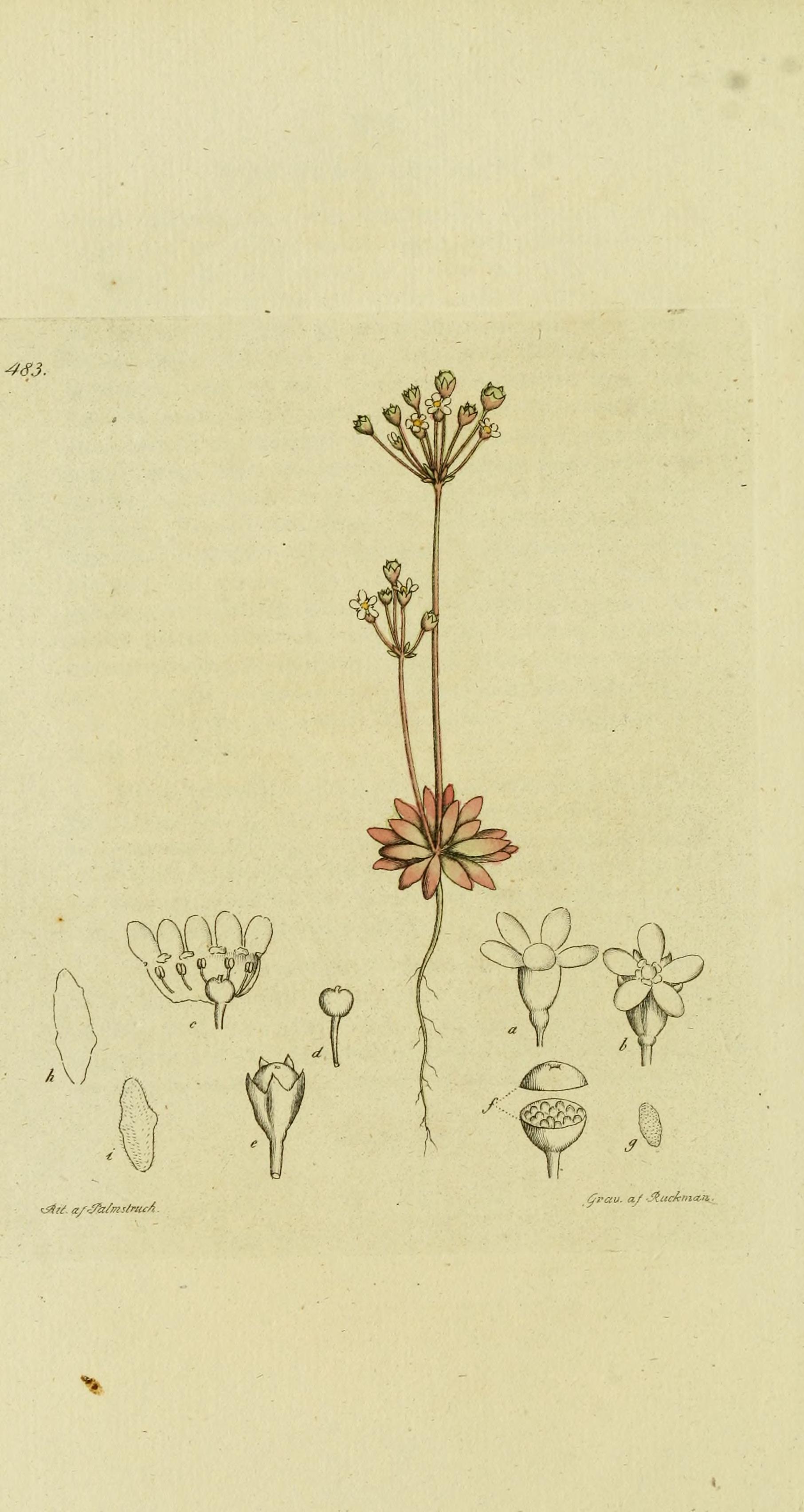 no full size  illustration available (3a)