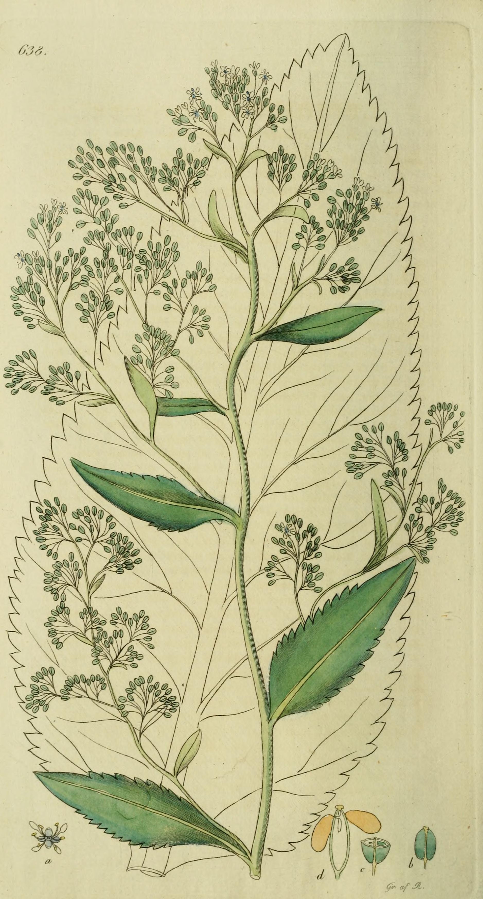 no full size  illustration available (3a)