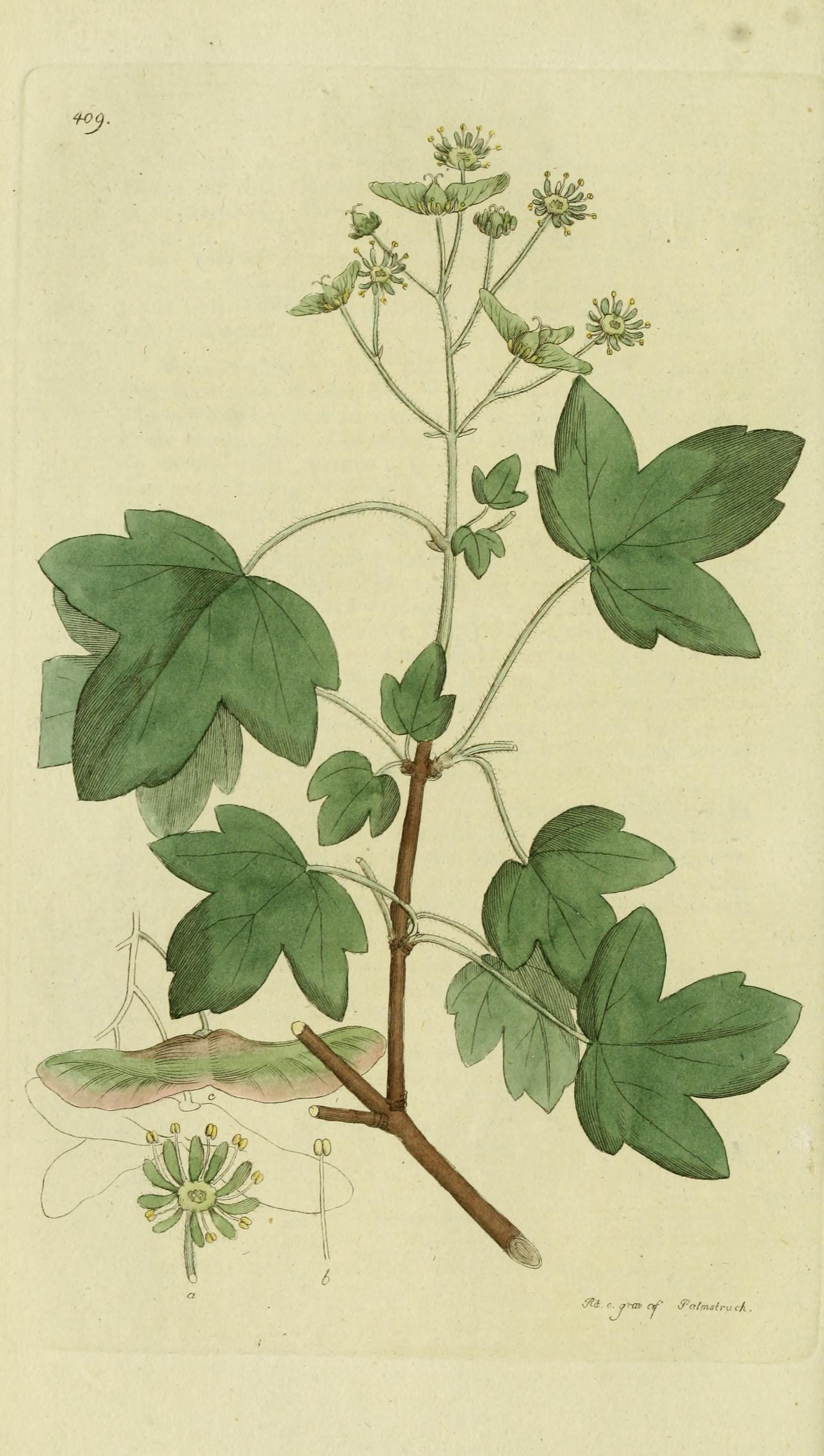 no full size  illustration available (3a)