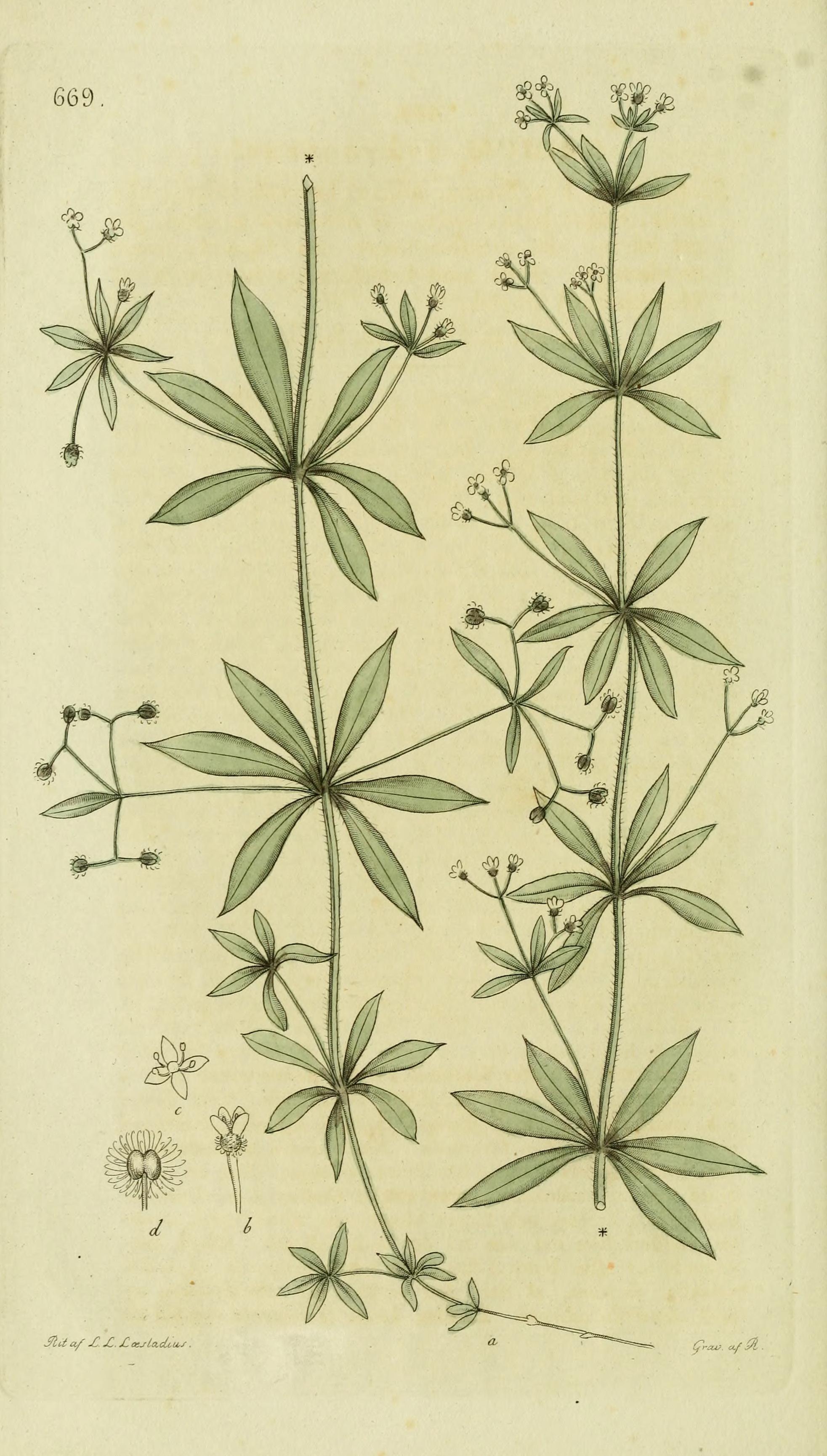 no full size  illustration available (3a)