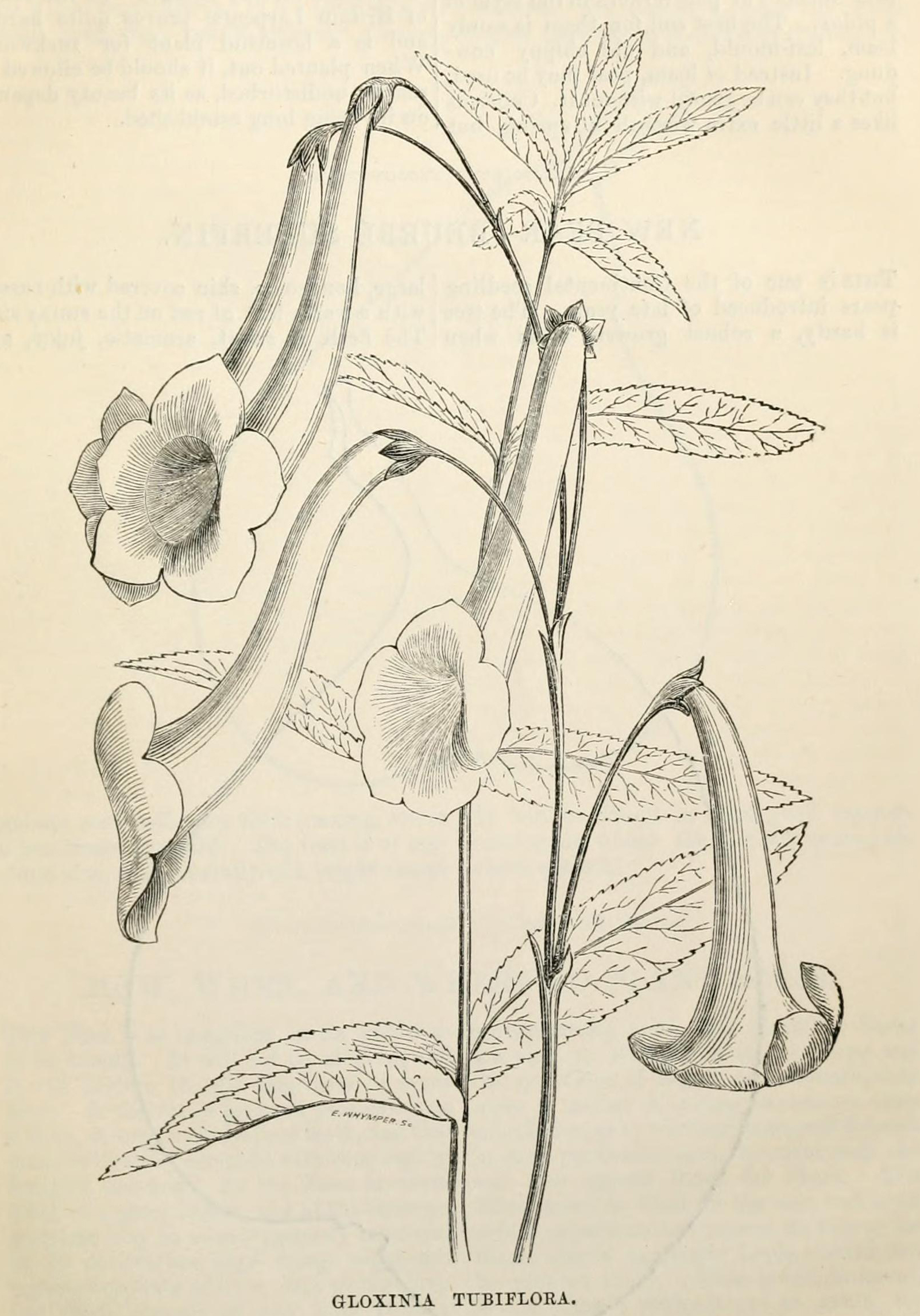 no full size  illustration available (3a)