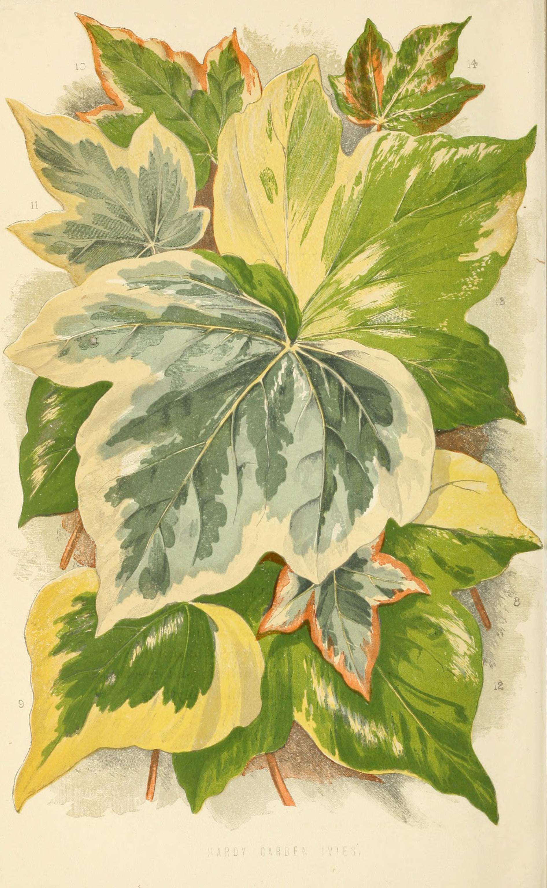 no full size  illustration available (3a)