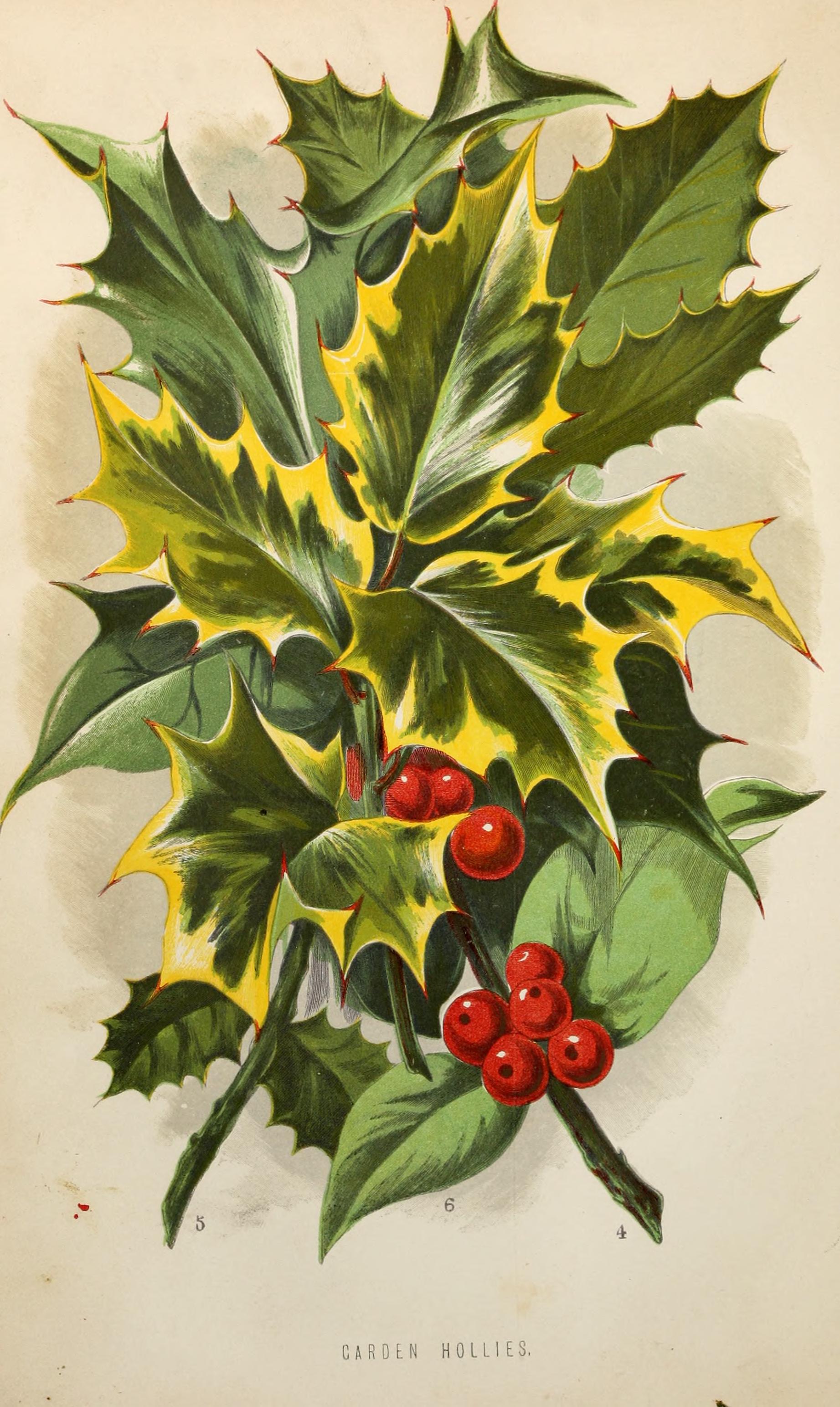 no full size  illustration available (3a)