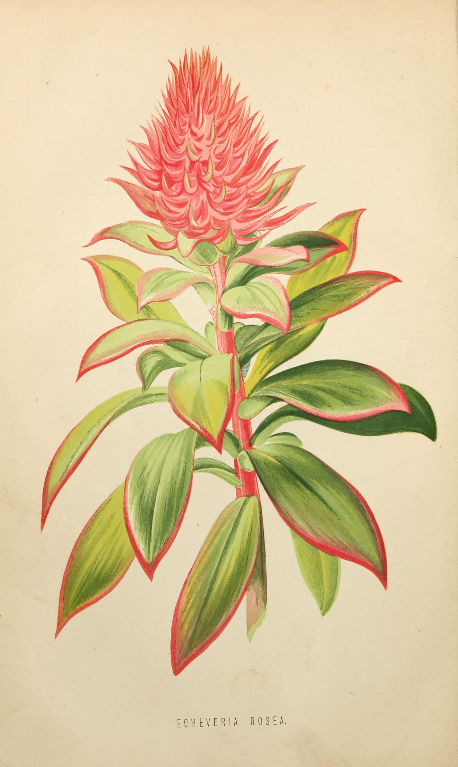 no full size  illustration available (3a)