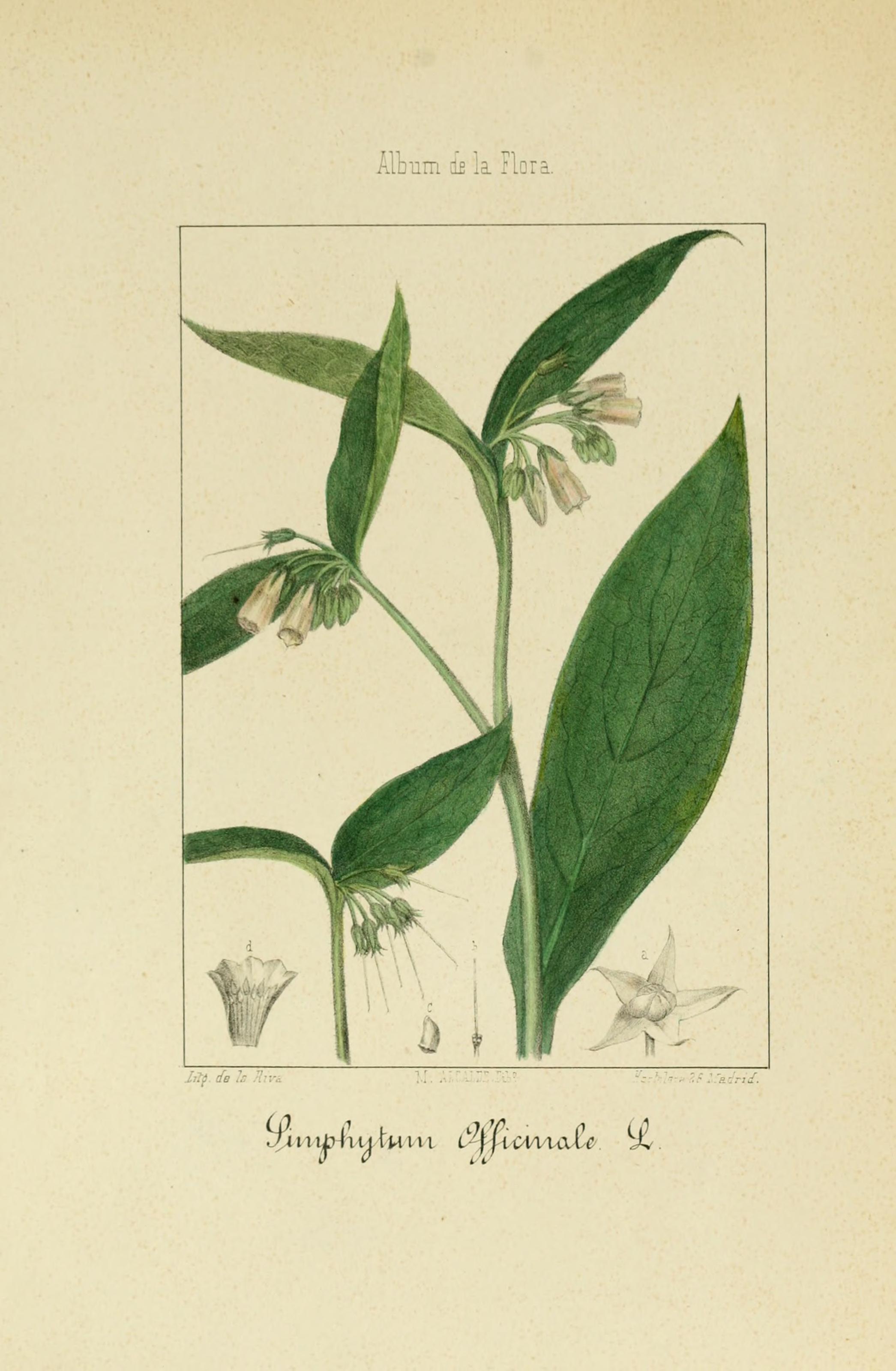 no full size  illustration available (3a)