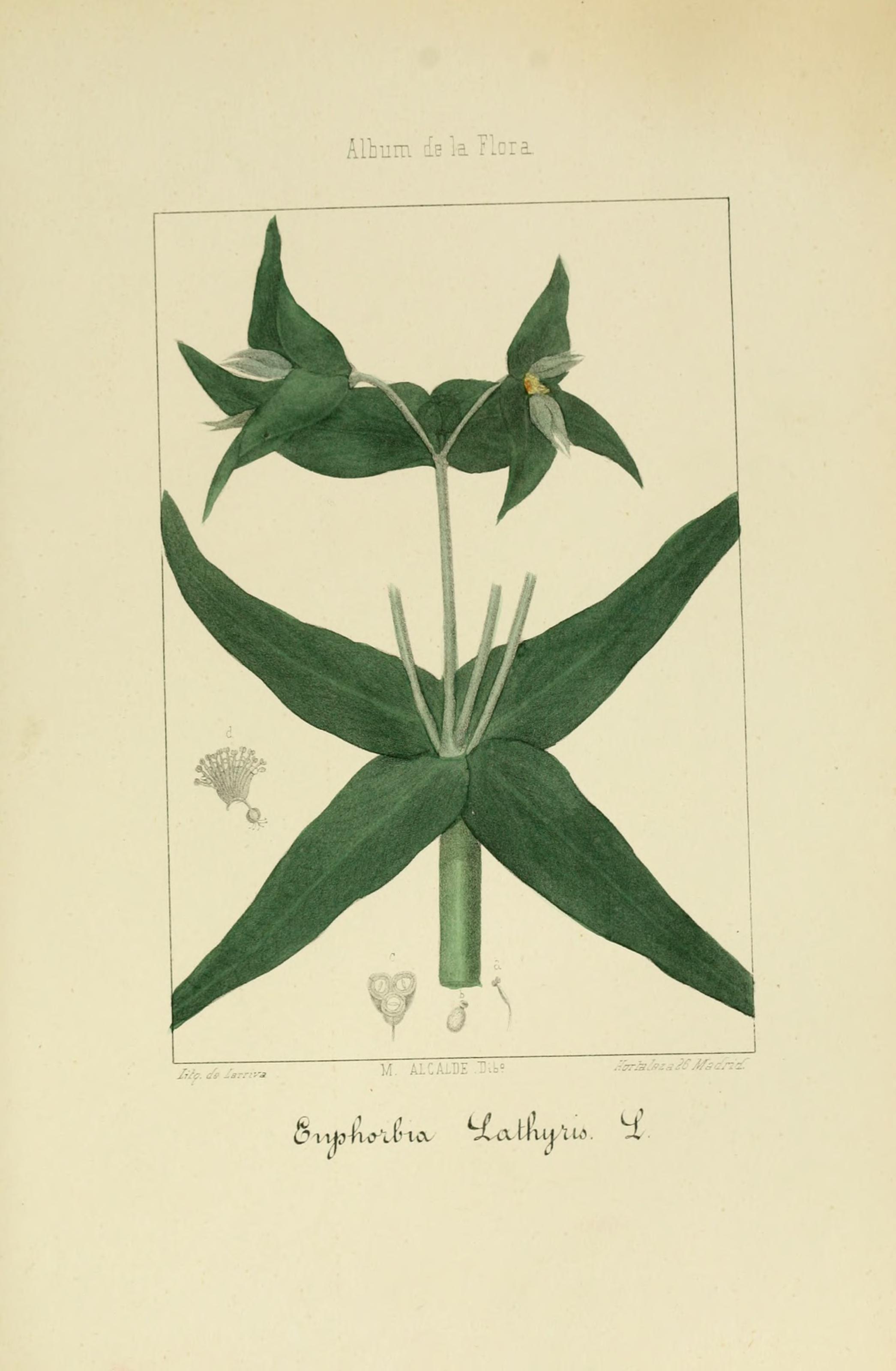 no full size  illustration available (3a)