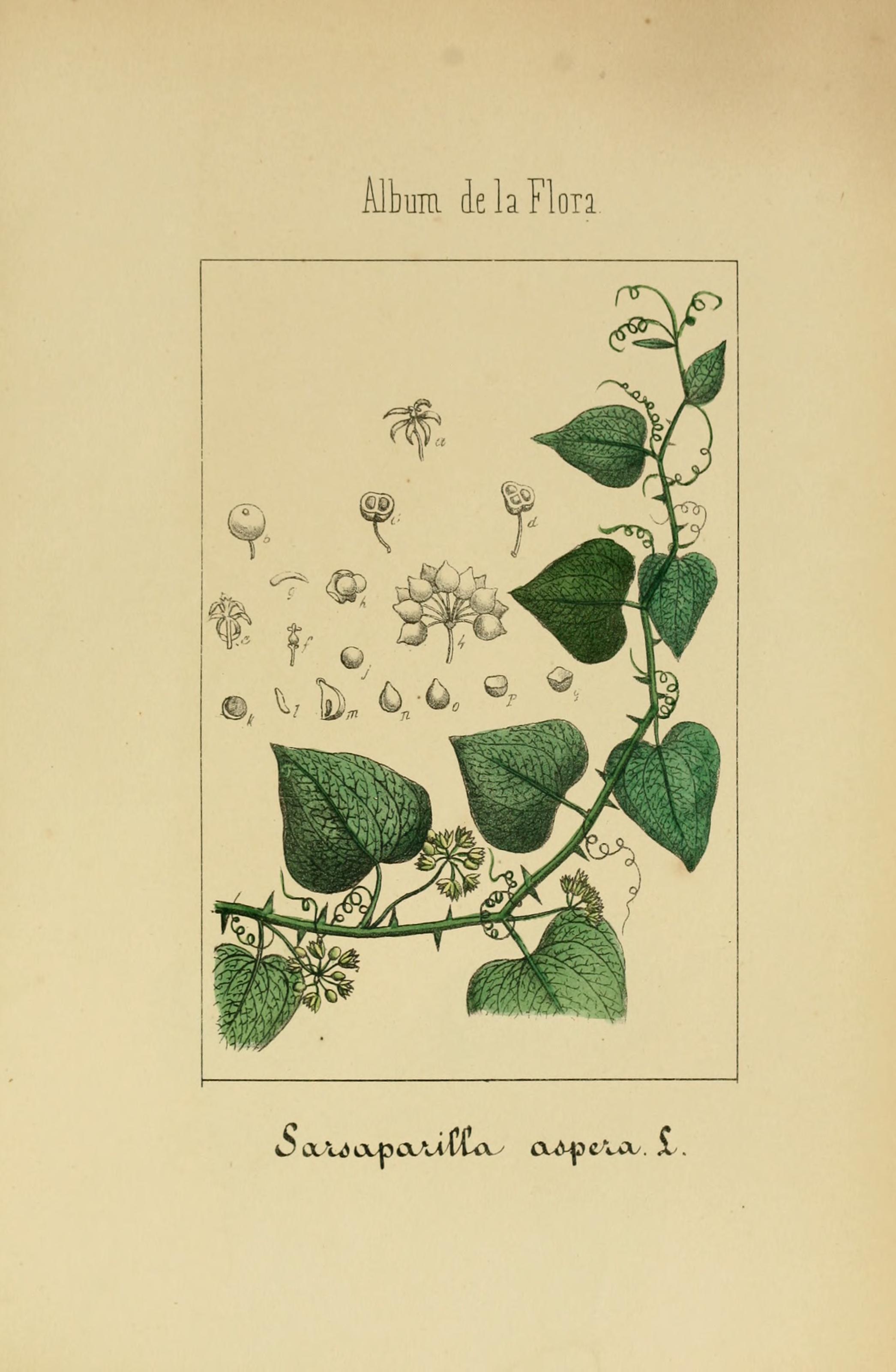 no full size  illustration available (3a)