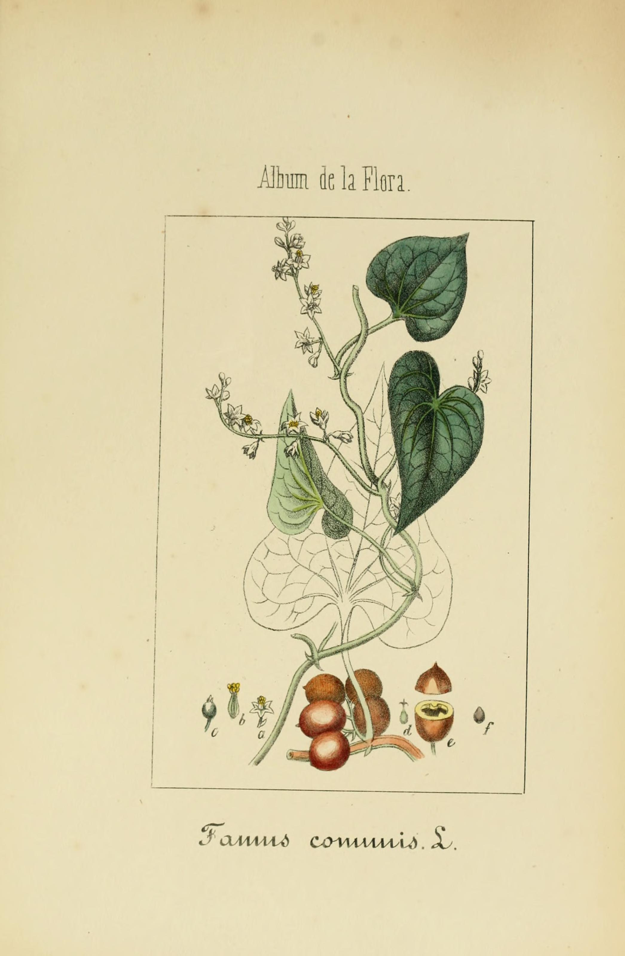 no full size  illustration available (3a)