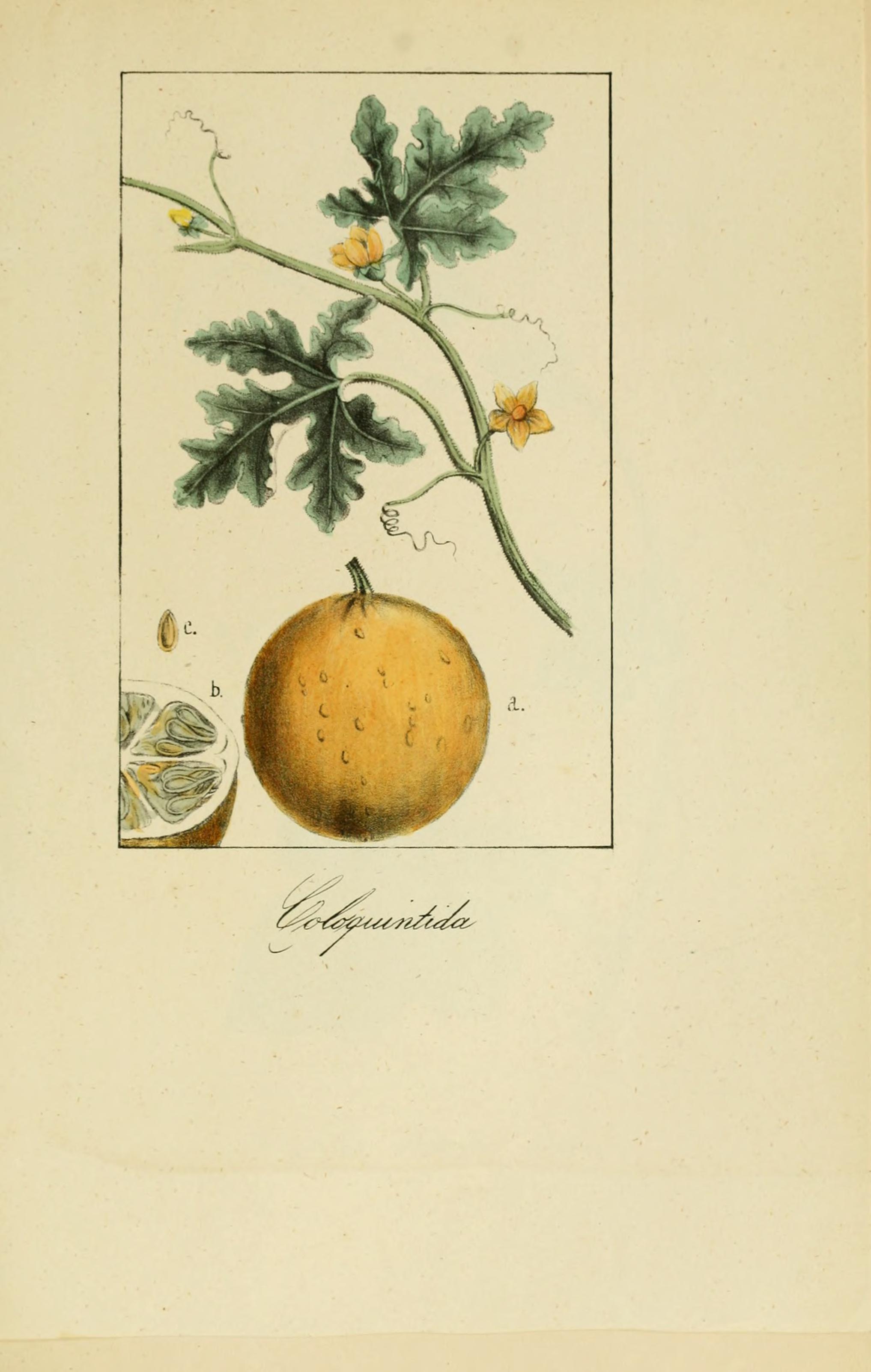 no full size  illustration available (3a)