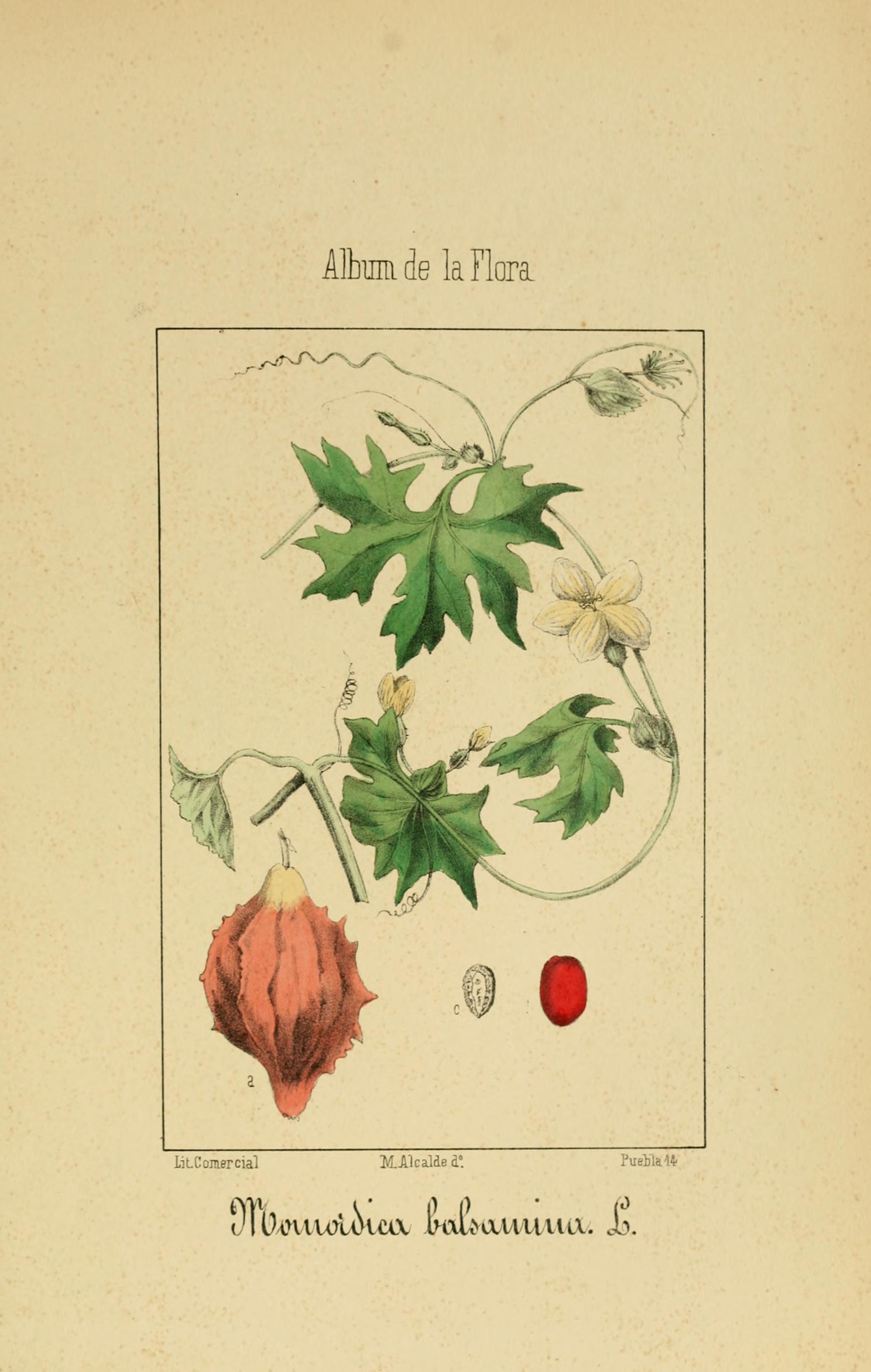 no full size  illustration available (3a)