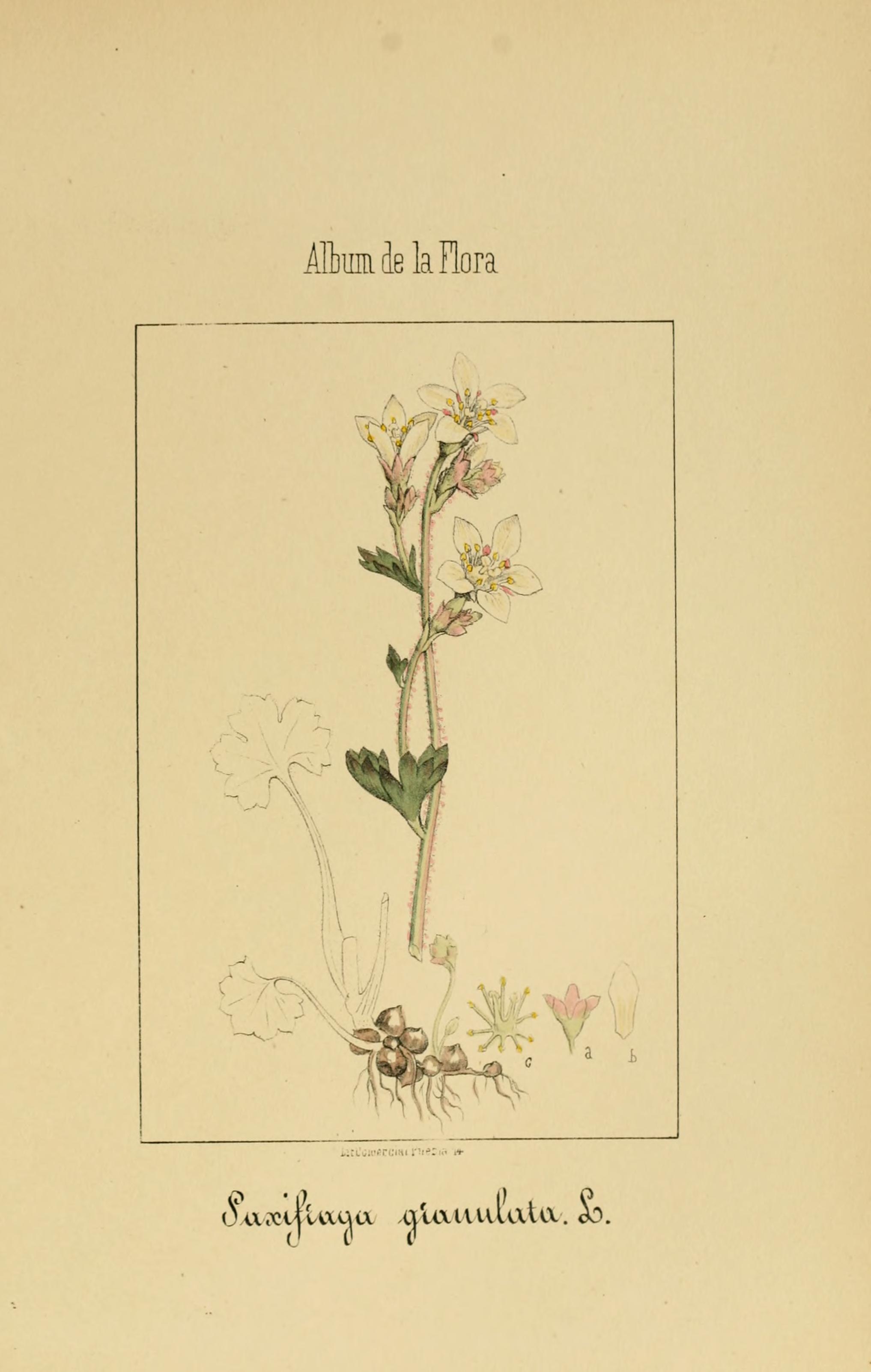 no full size  illustration available (3a)