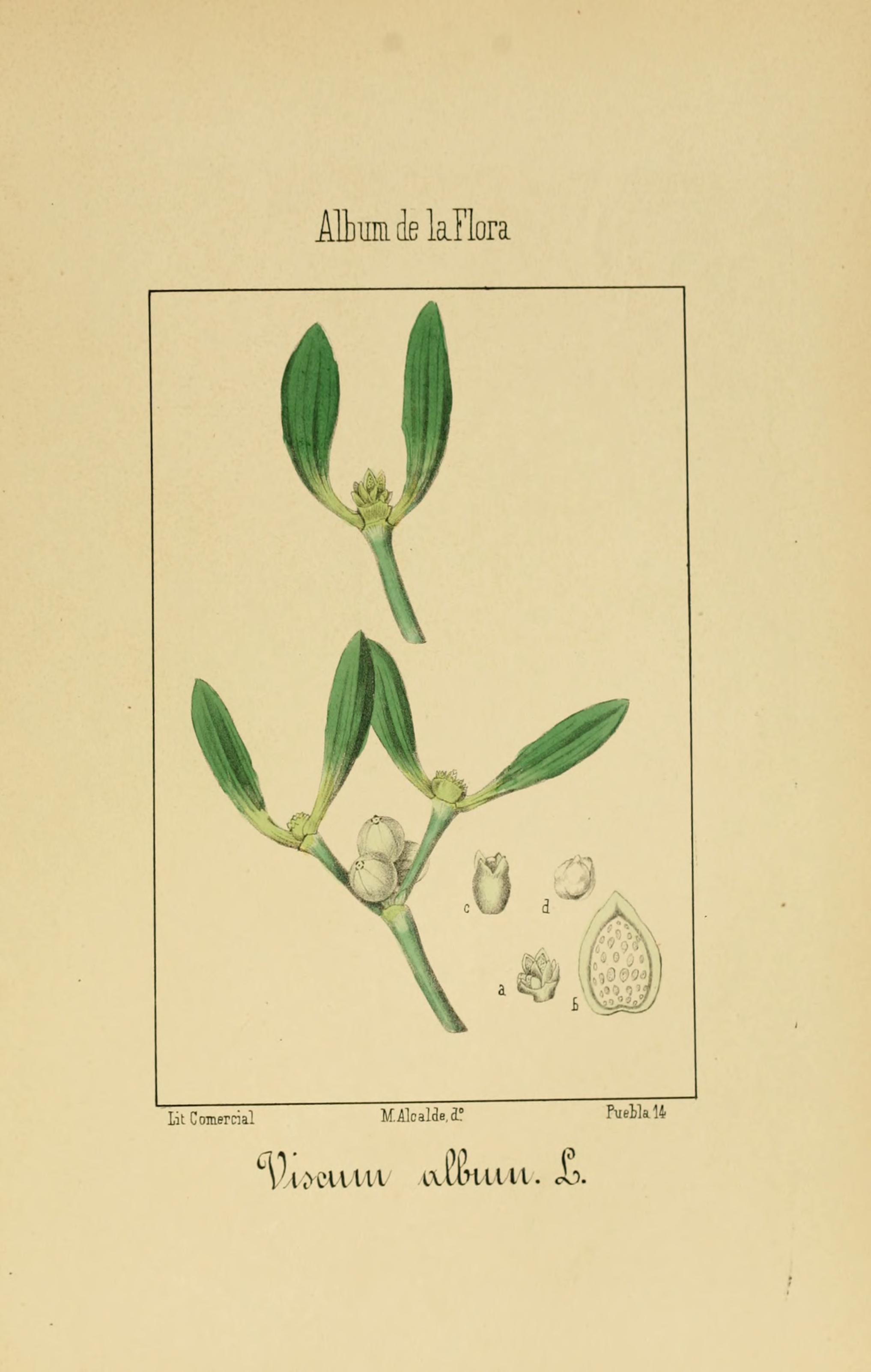 no full size  illustration available (3a)