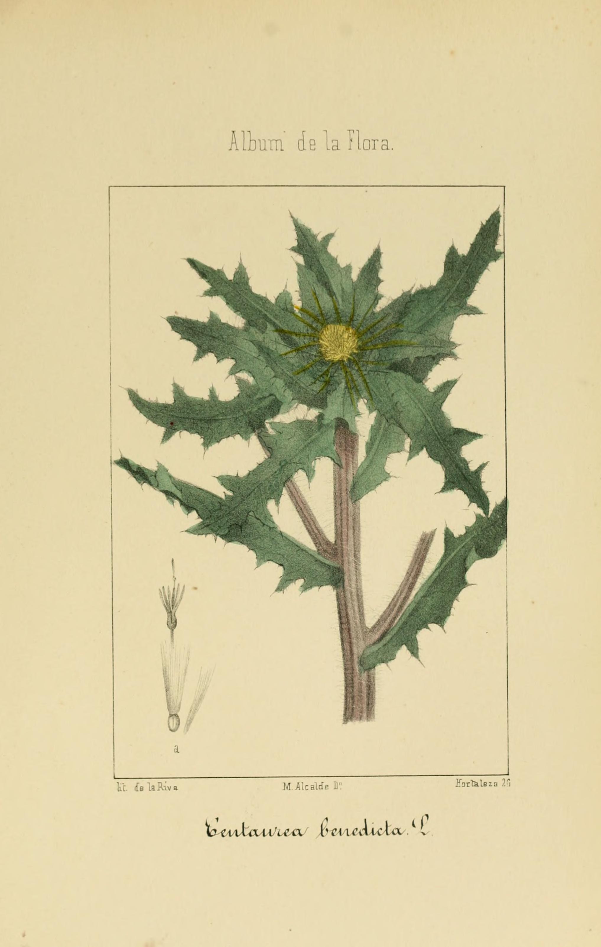 no full size  illustration available (3a)