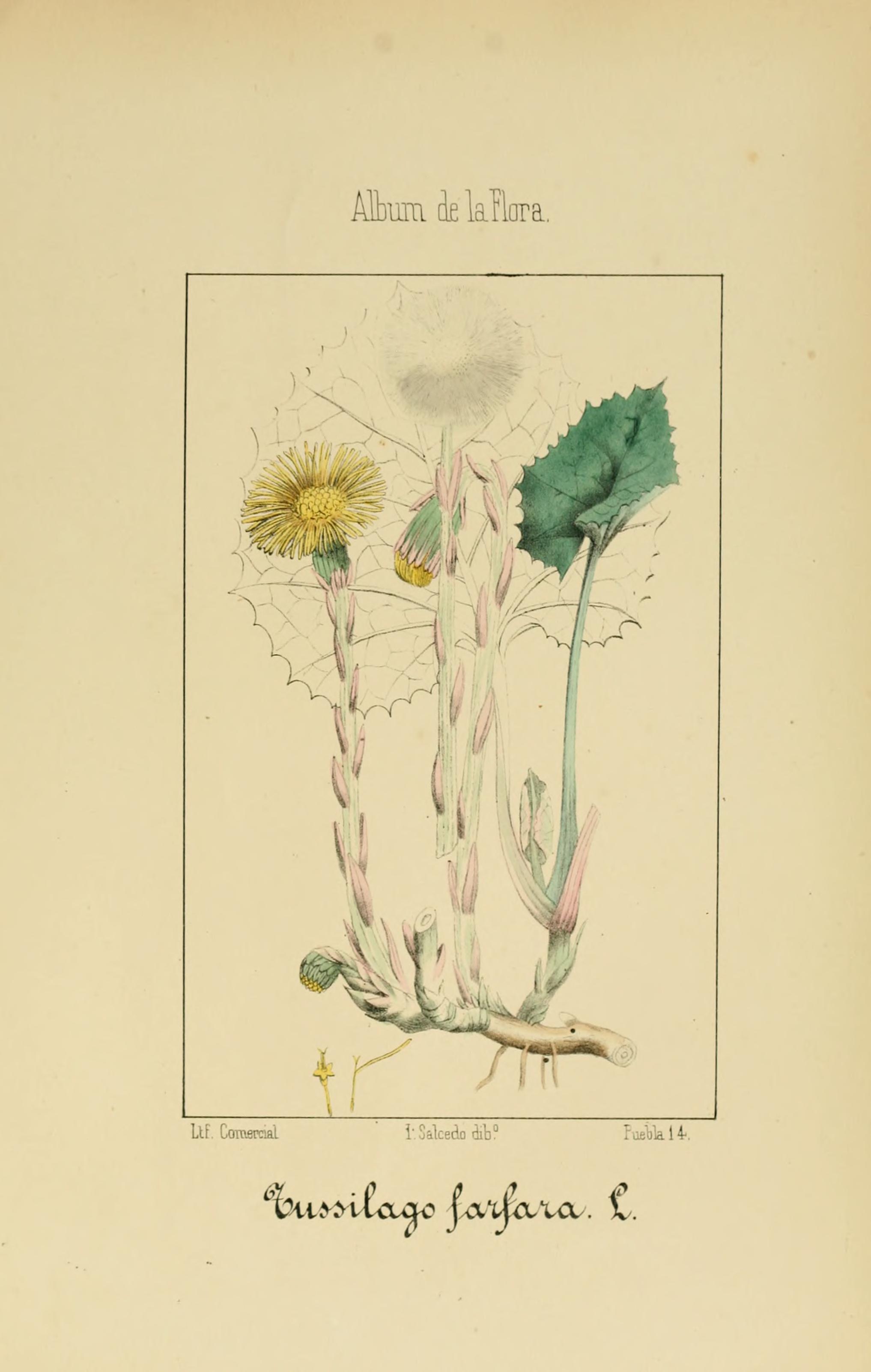 no full size  illustration available (3a)