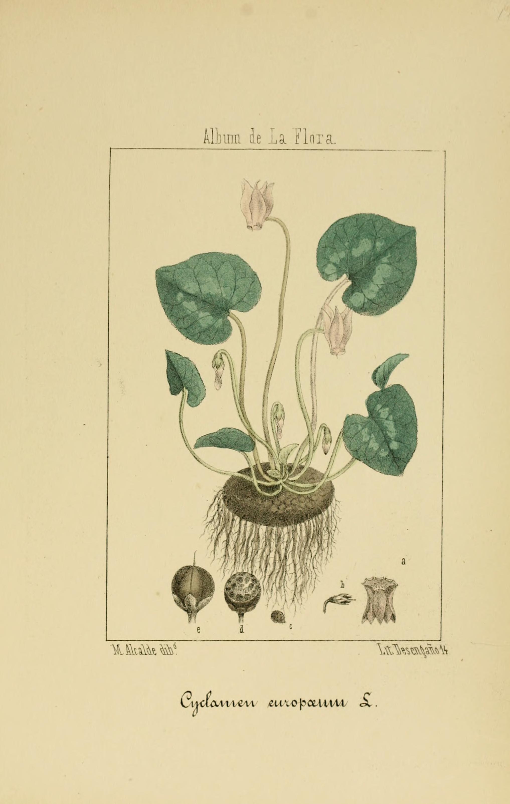 no full size  illustration available (3a)