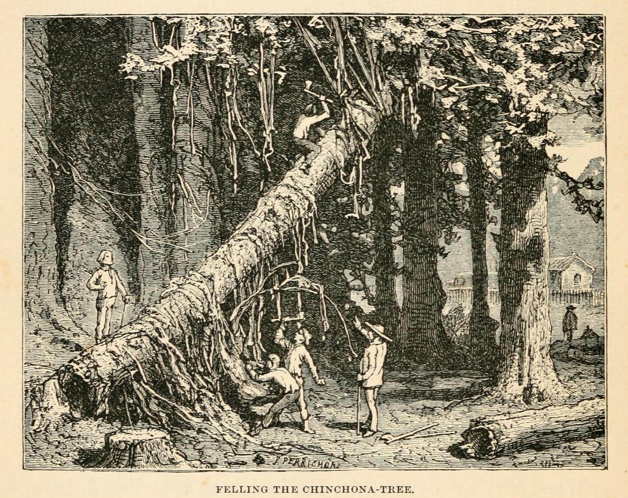 no full size  illustration available (3a)