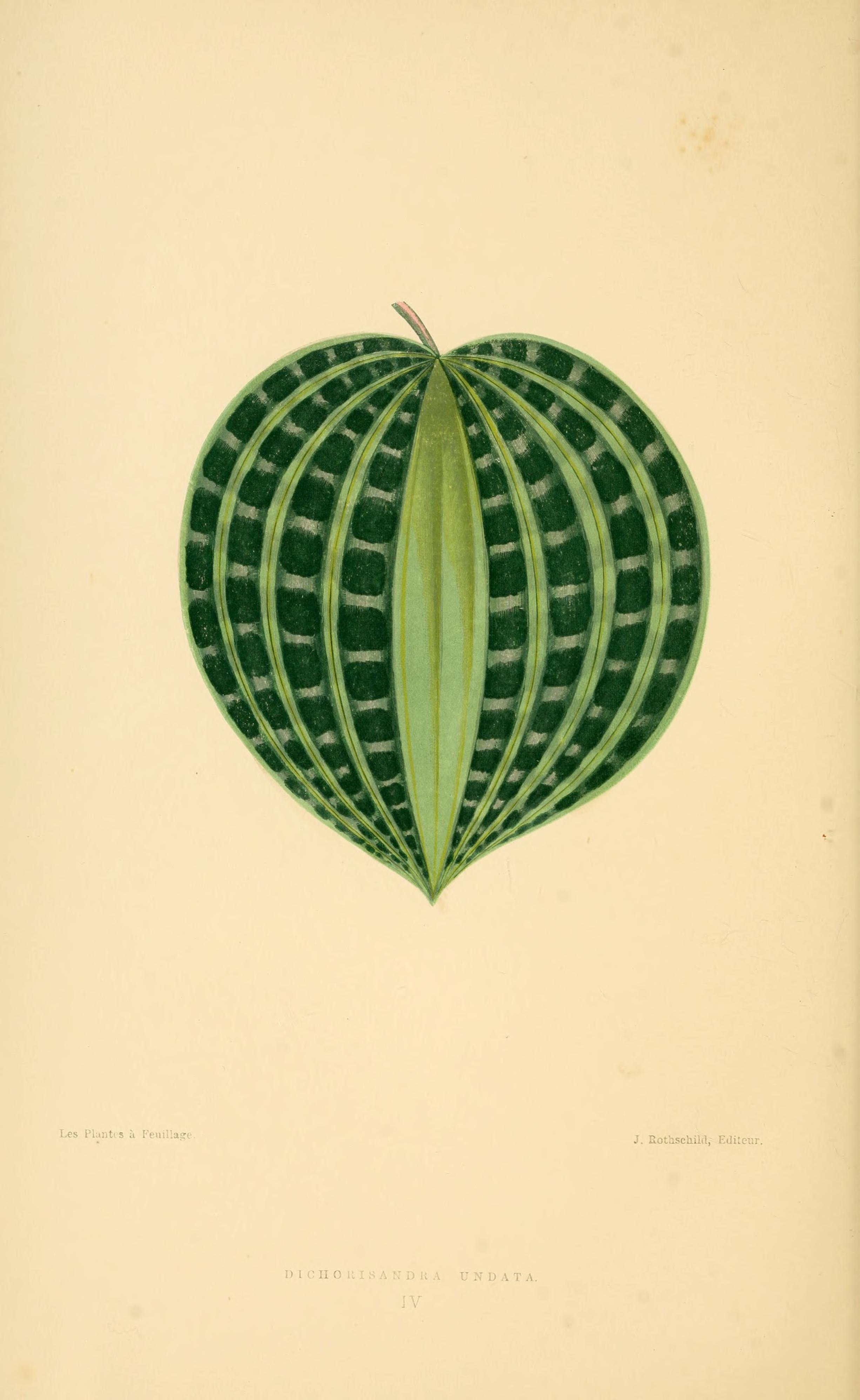 no full size  illustration available (3a)