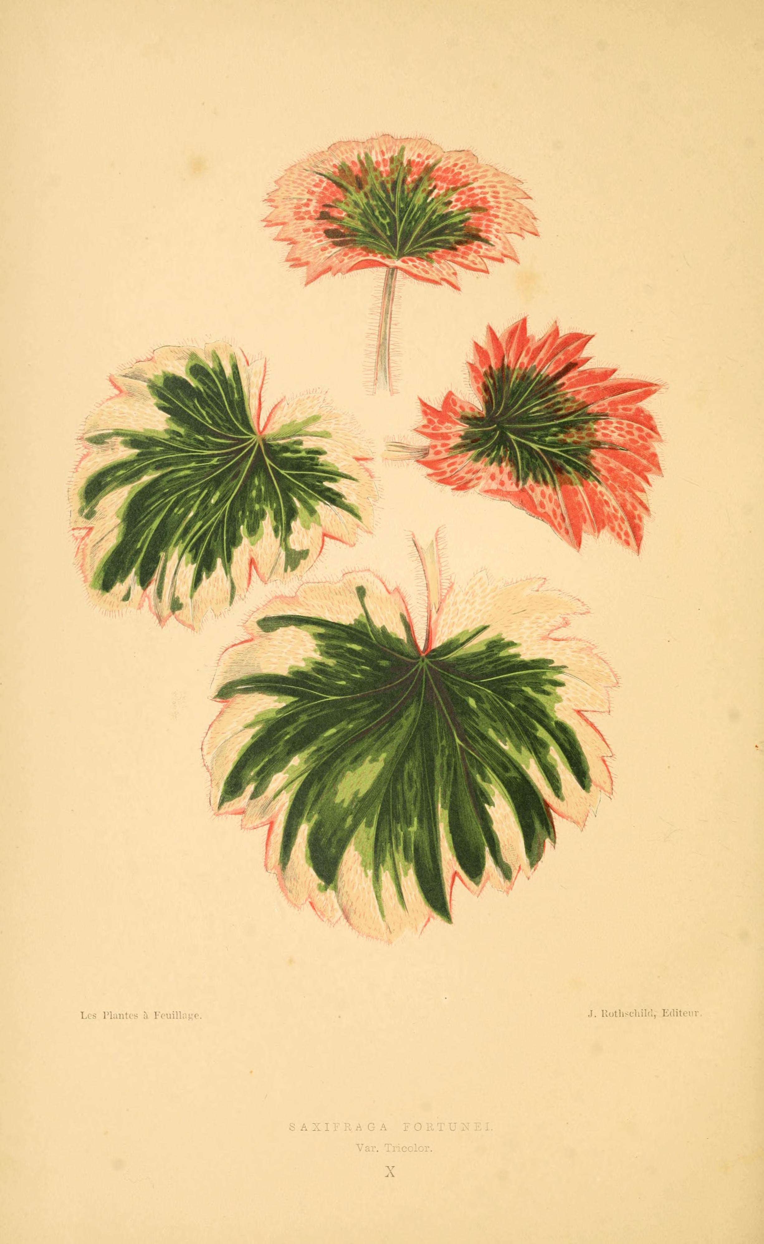 no full size  illustration available (3a)