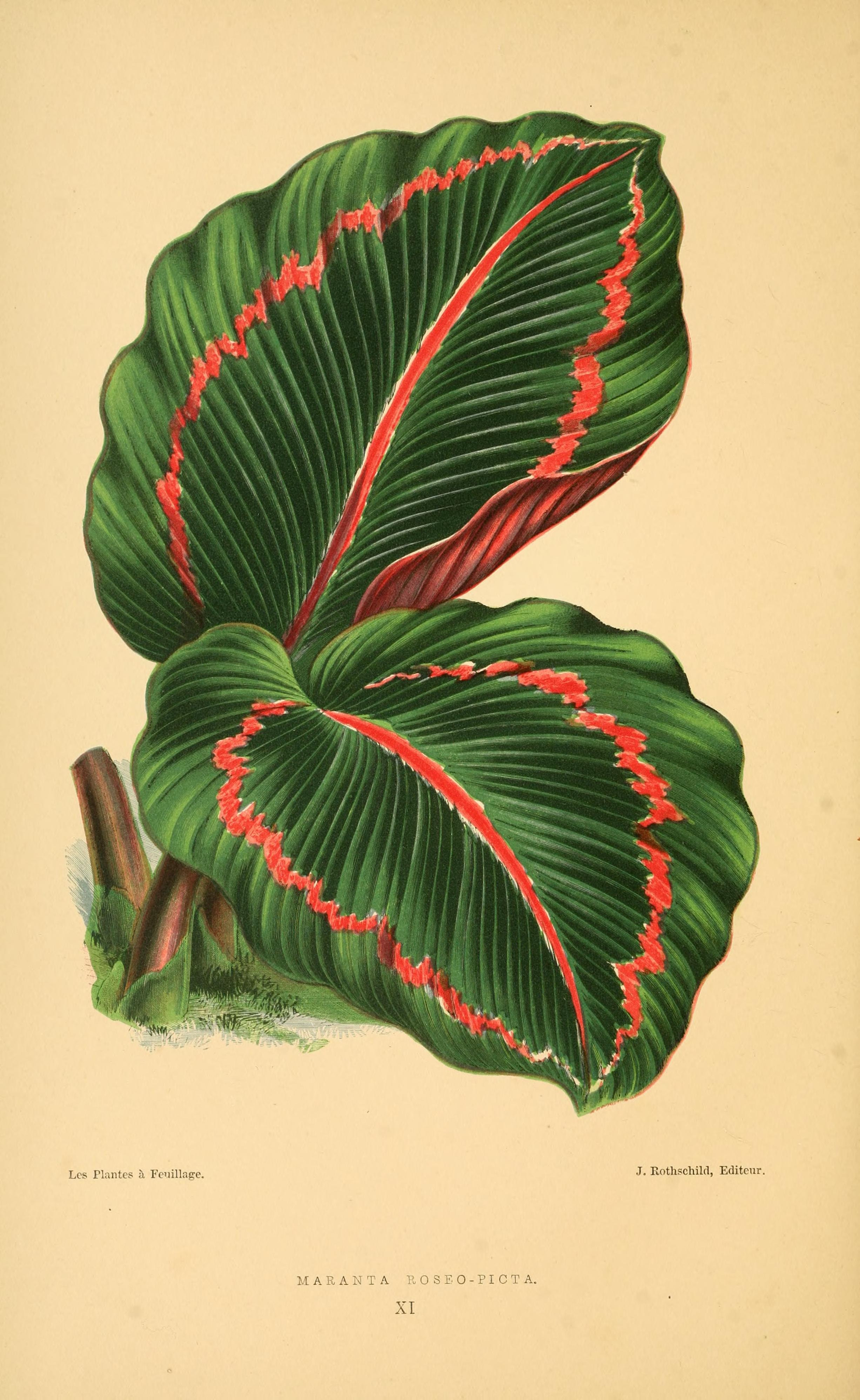 no full size  illustration available (3a)