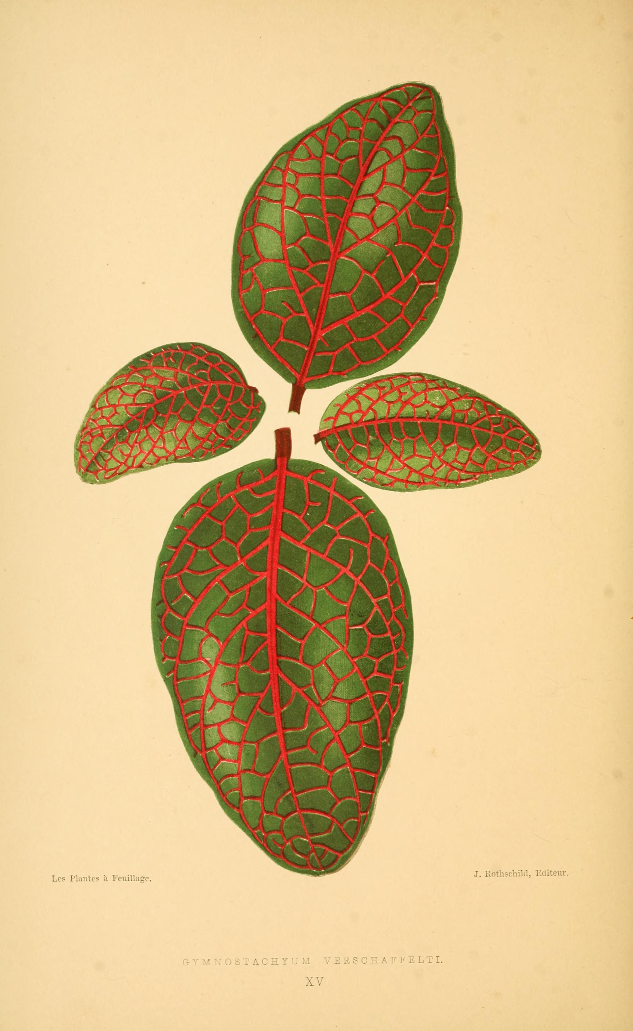 no full size  illustration available (3a)