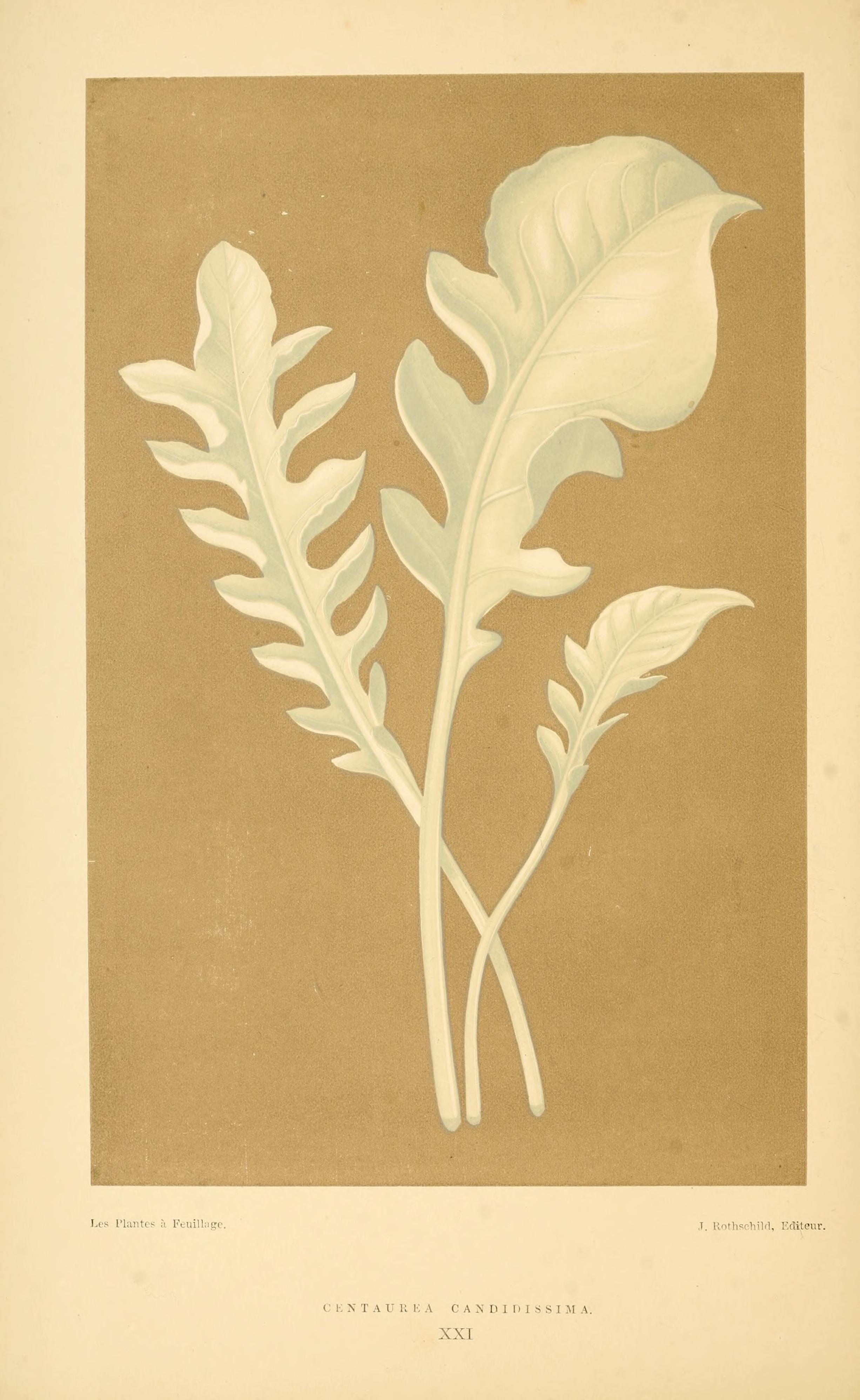 no full size  illustration available (3a)