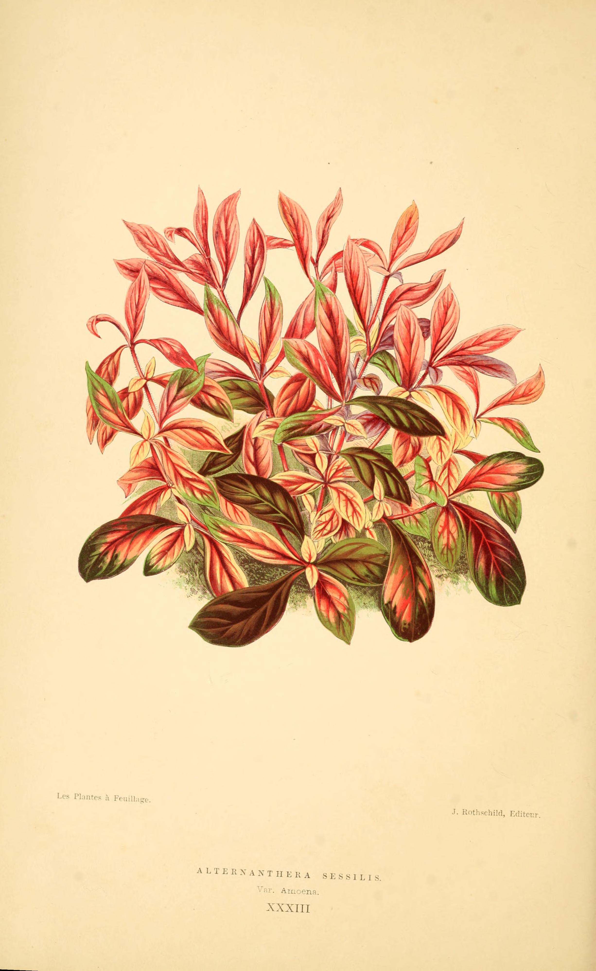 no full size  illustration available (3a)