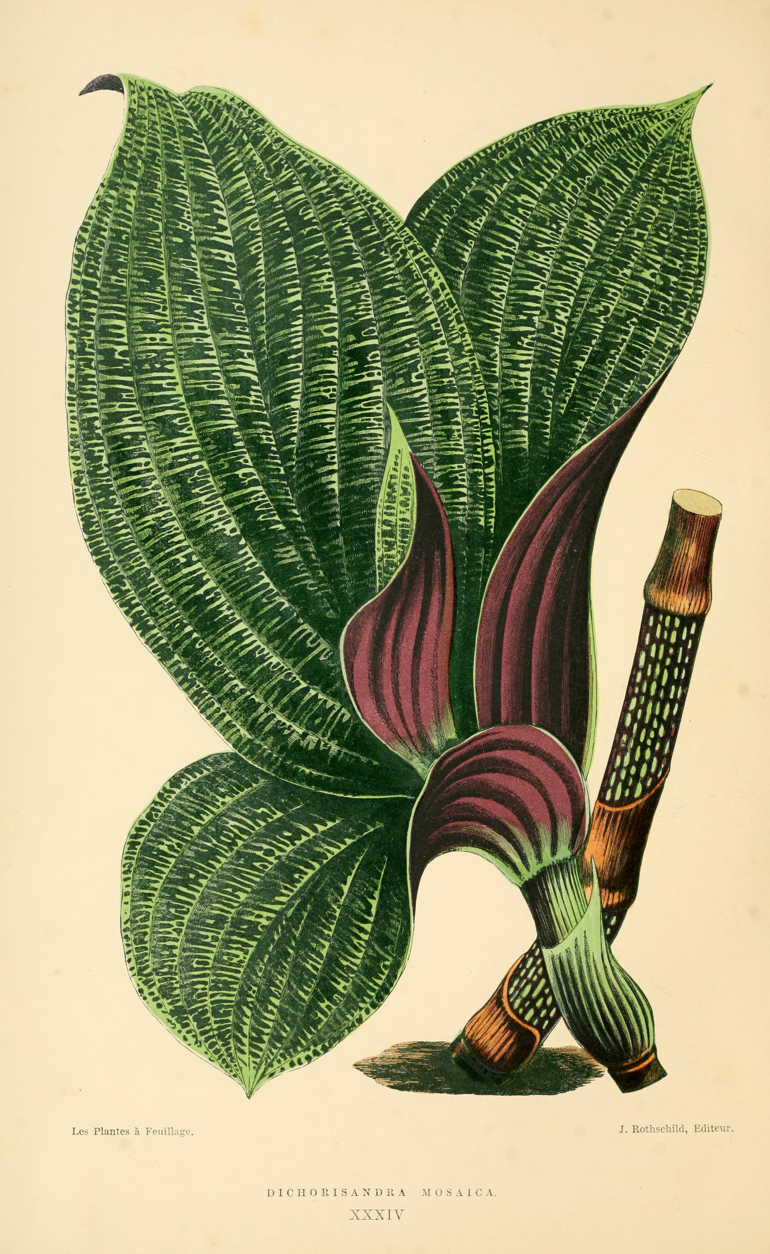 no full size  illustration available (3a)