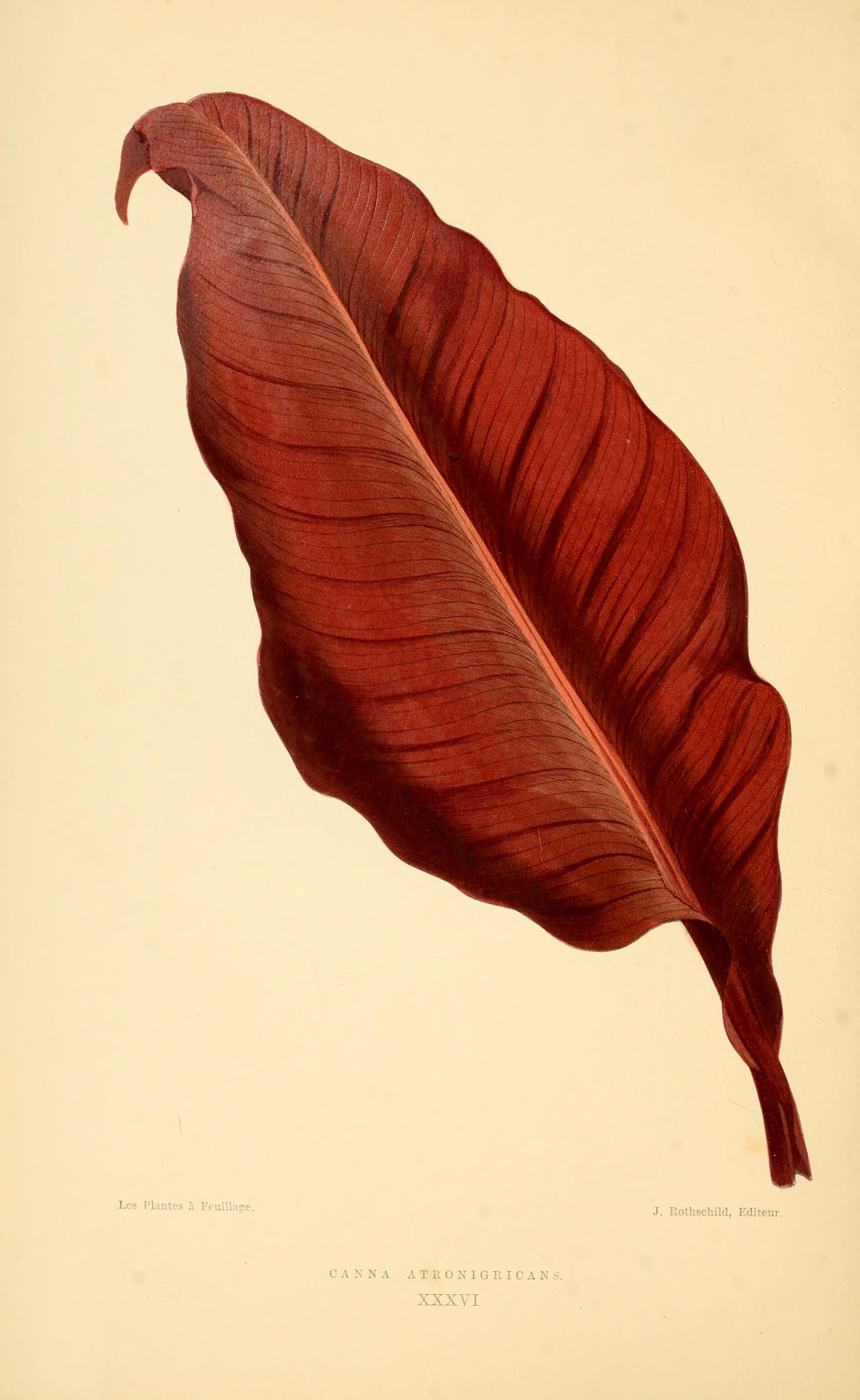 no full size  illustration available (3a)