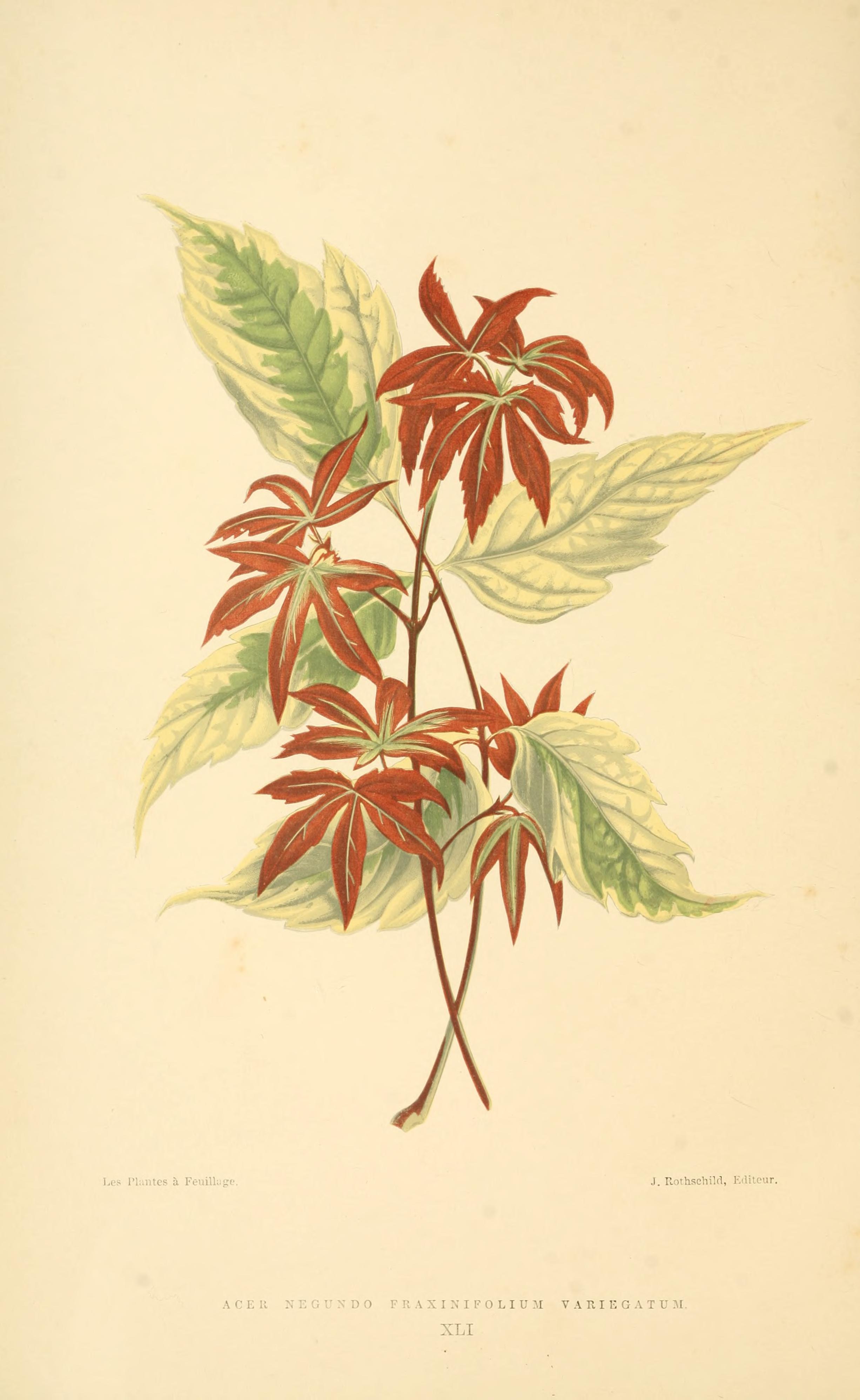 no full size  illustration available (3a)