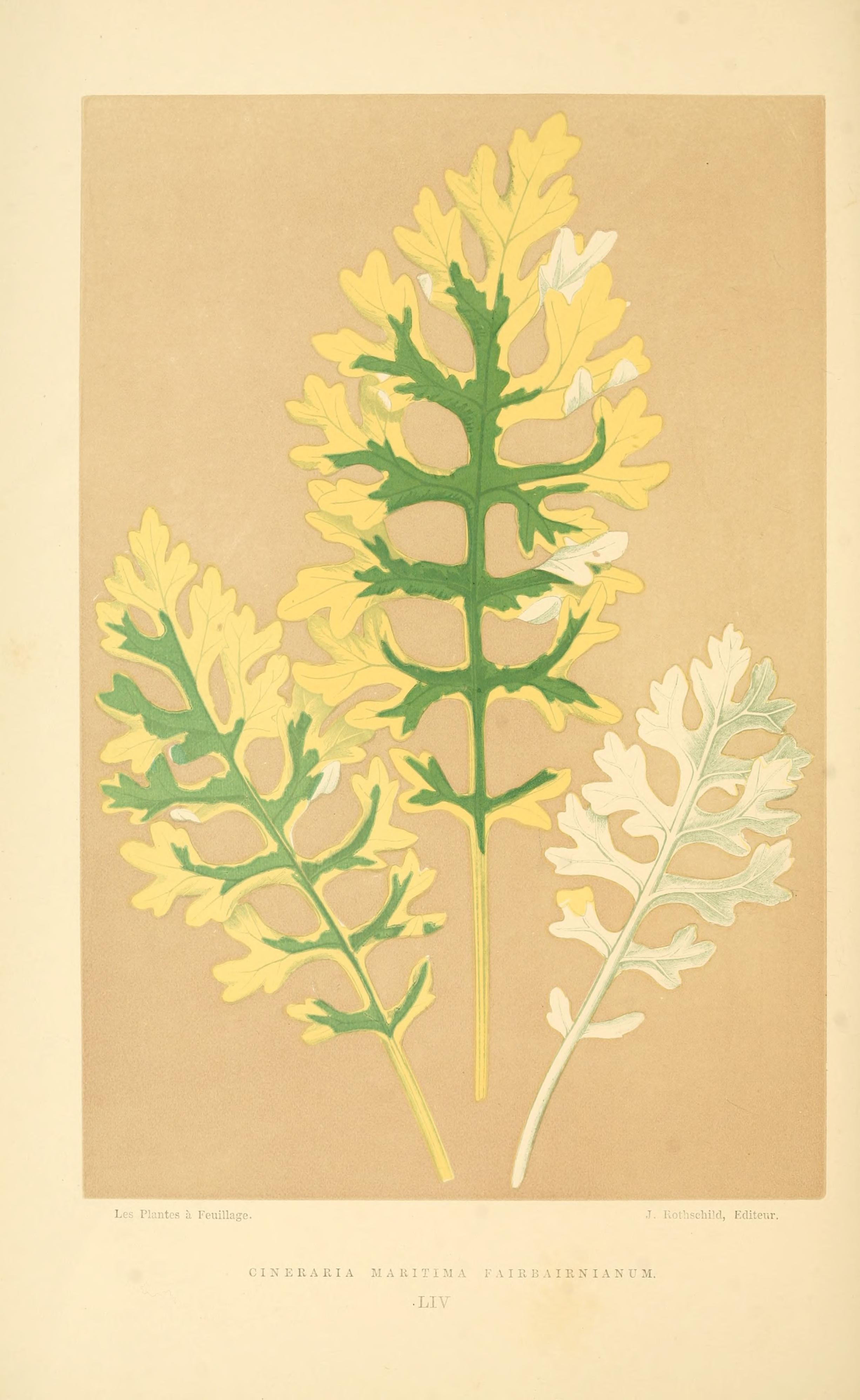 no full size  illustration available (3a)