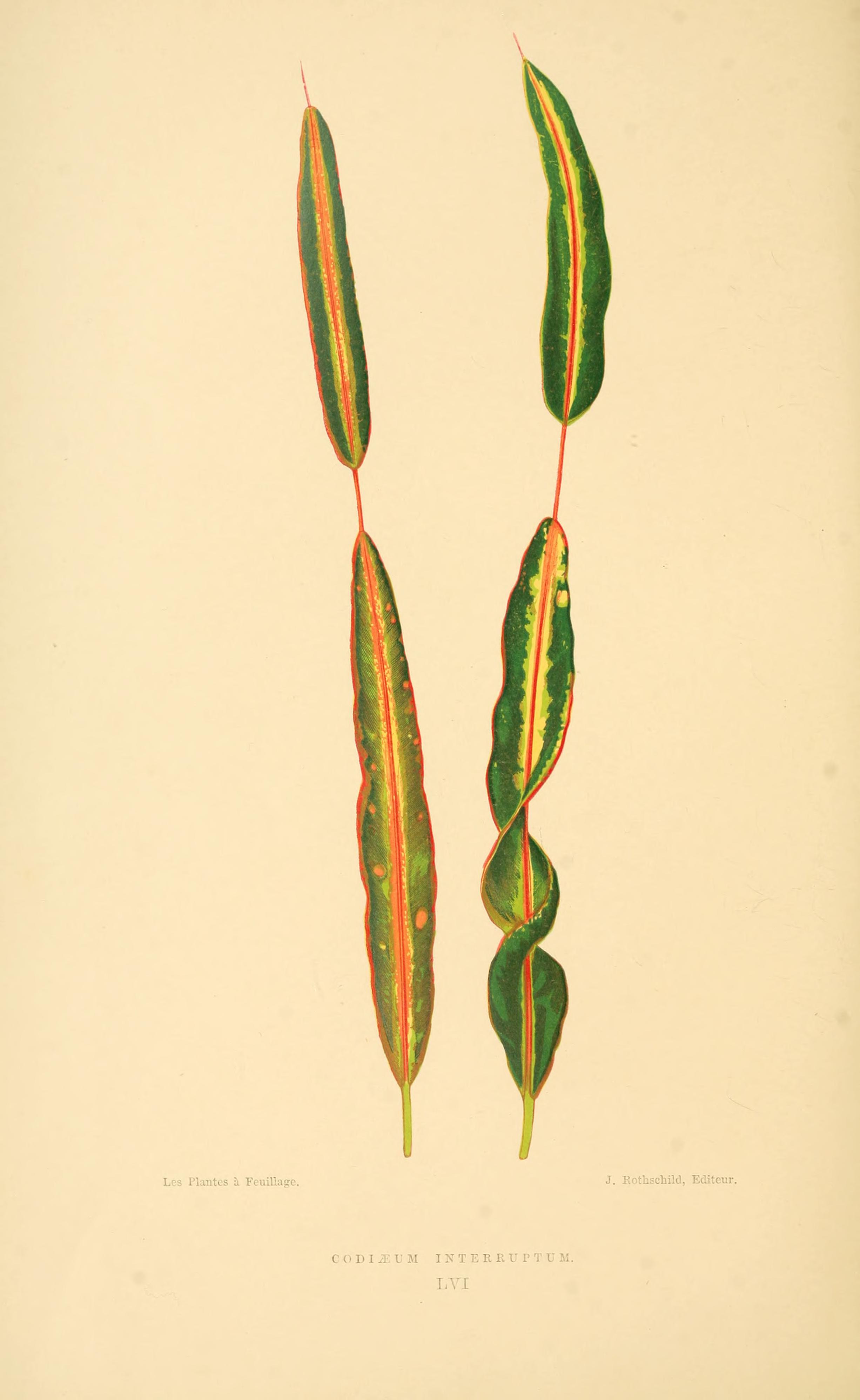 no full size  illustration available (3a)