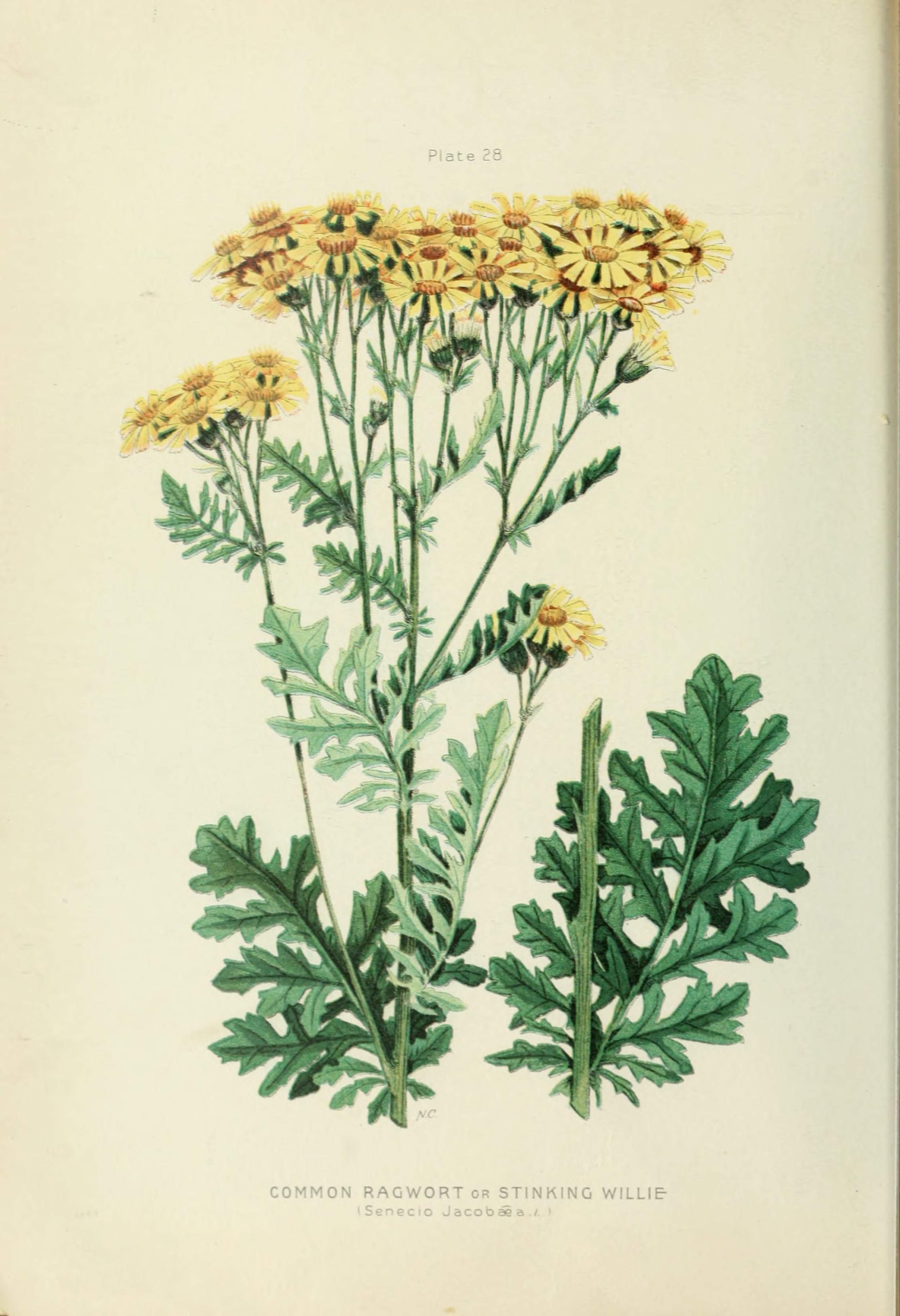 no full size  illustration available (3a)