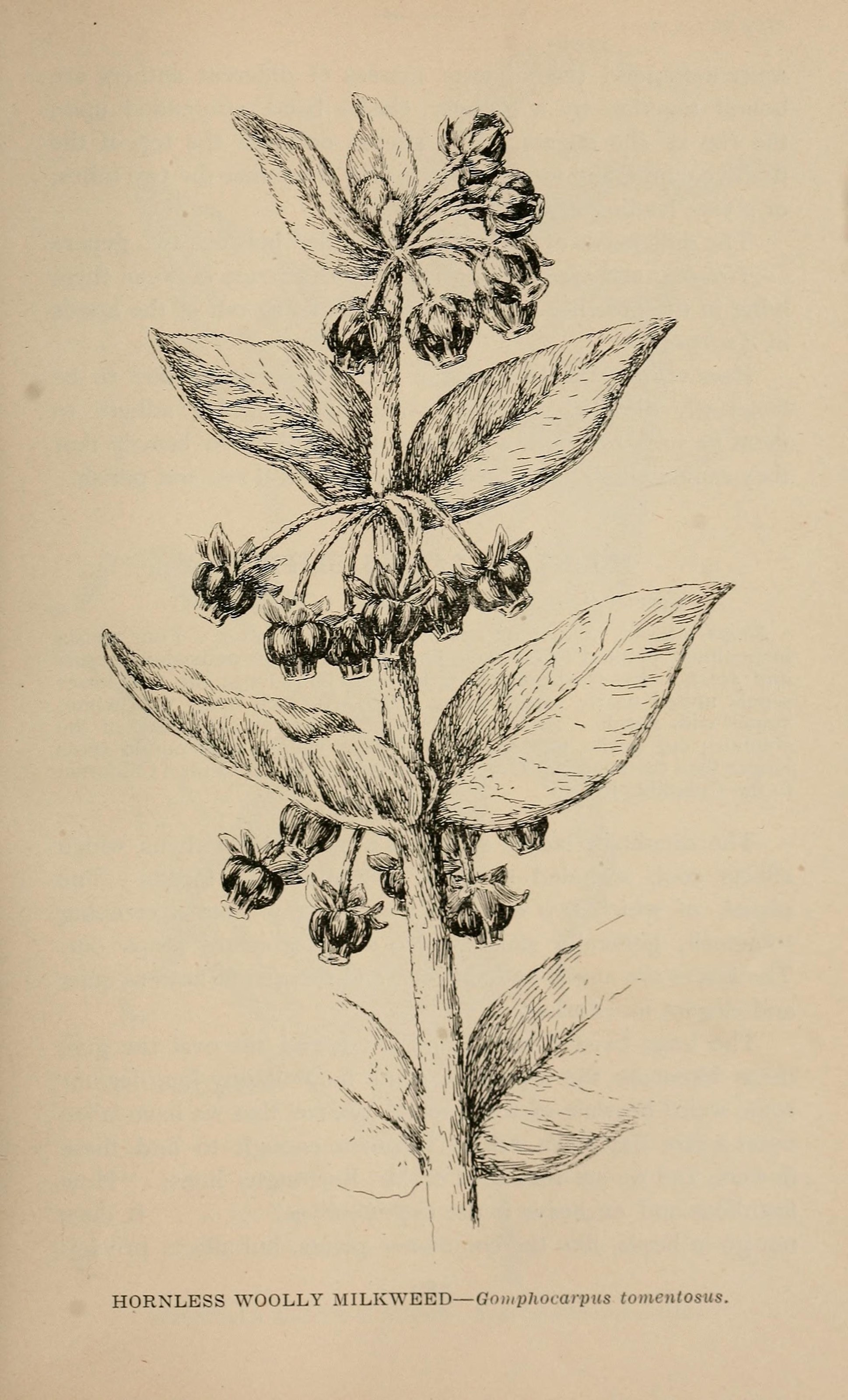 no full size  illustration available (3a)