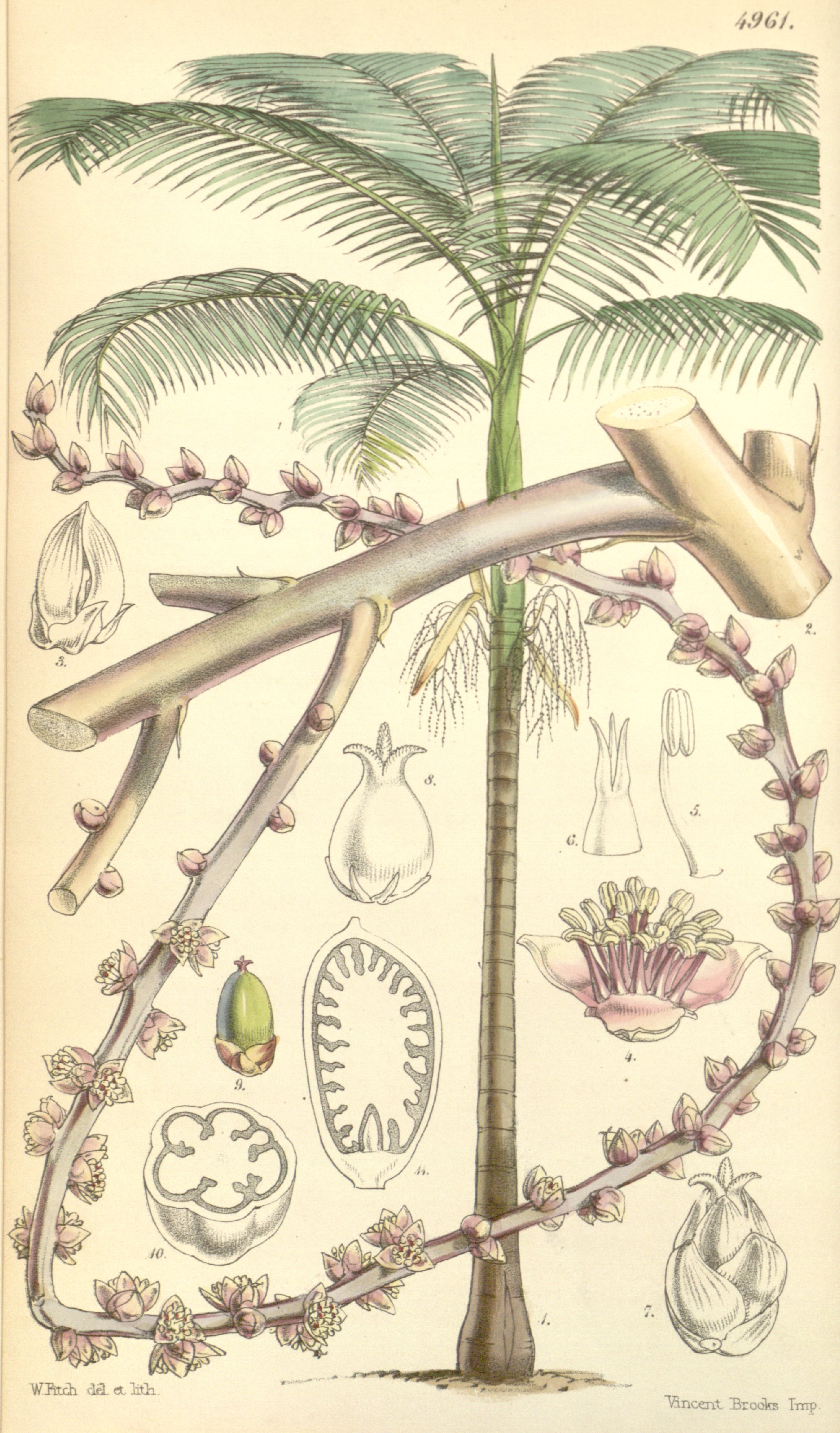 no full size  illustration available (3a)