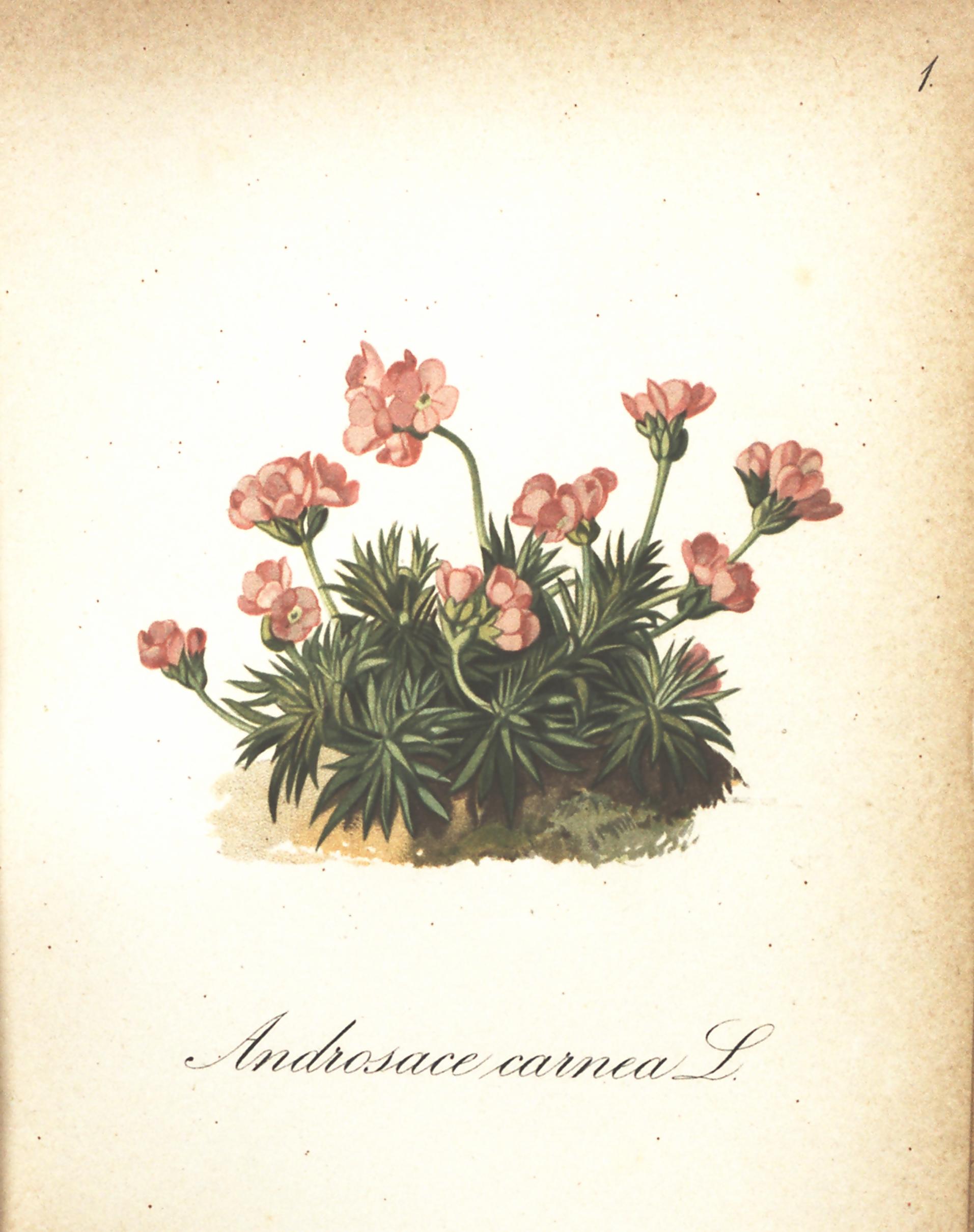 no full size  illustration available (3a)