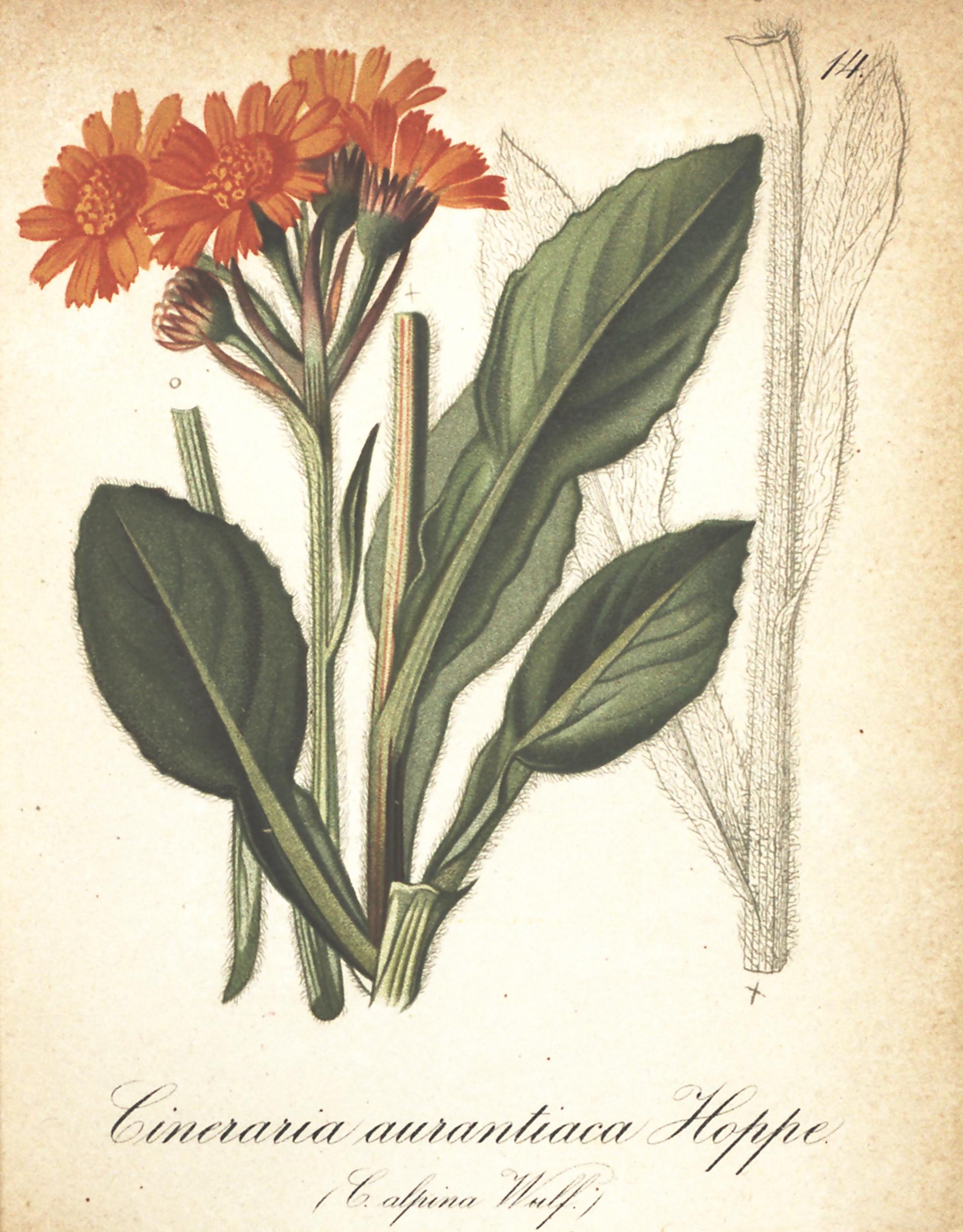 no full size  illustration available (3a)