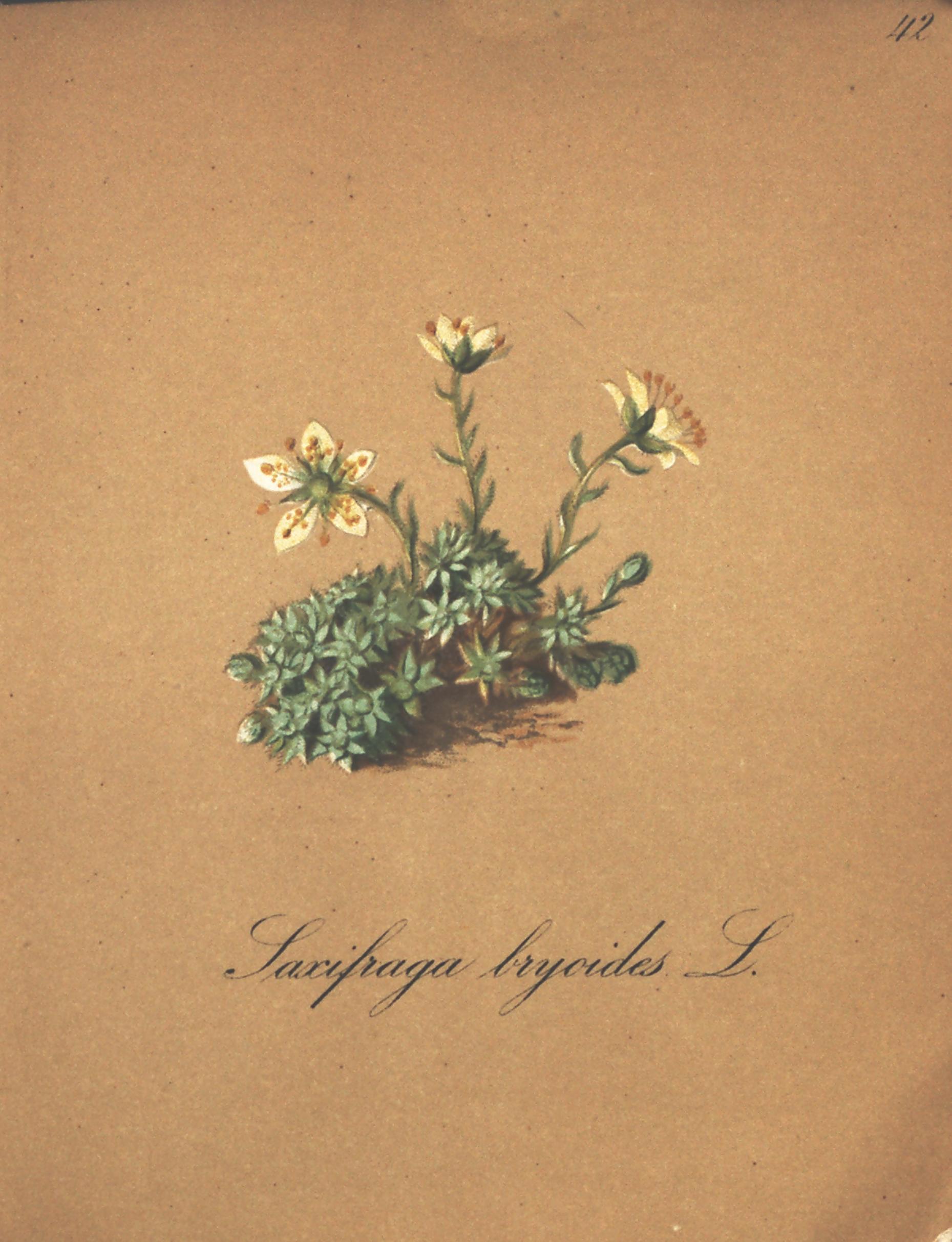 no full size  illustration available (3a)